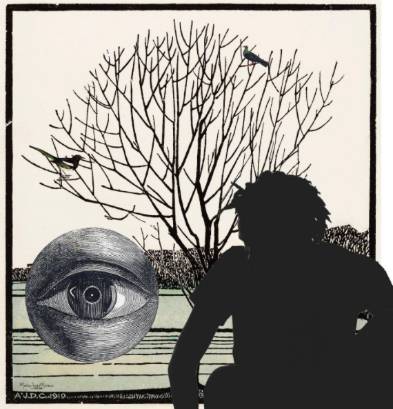 María José Moreno