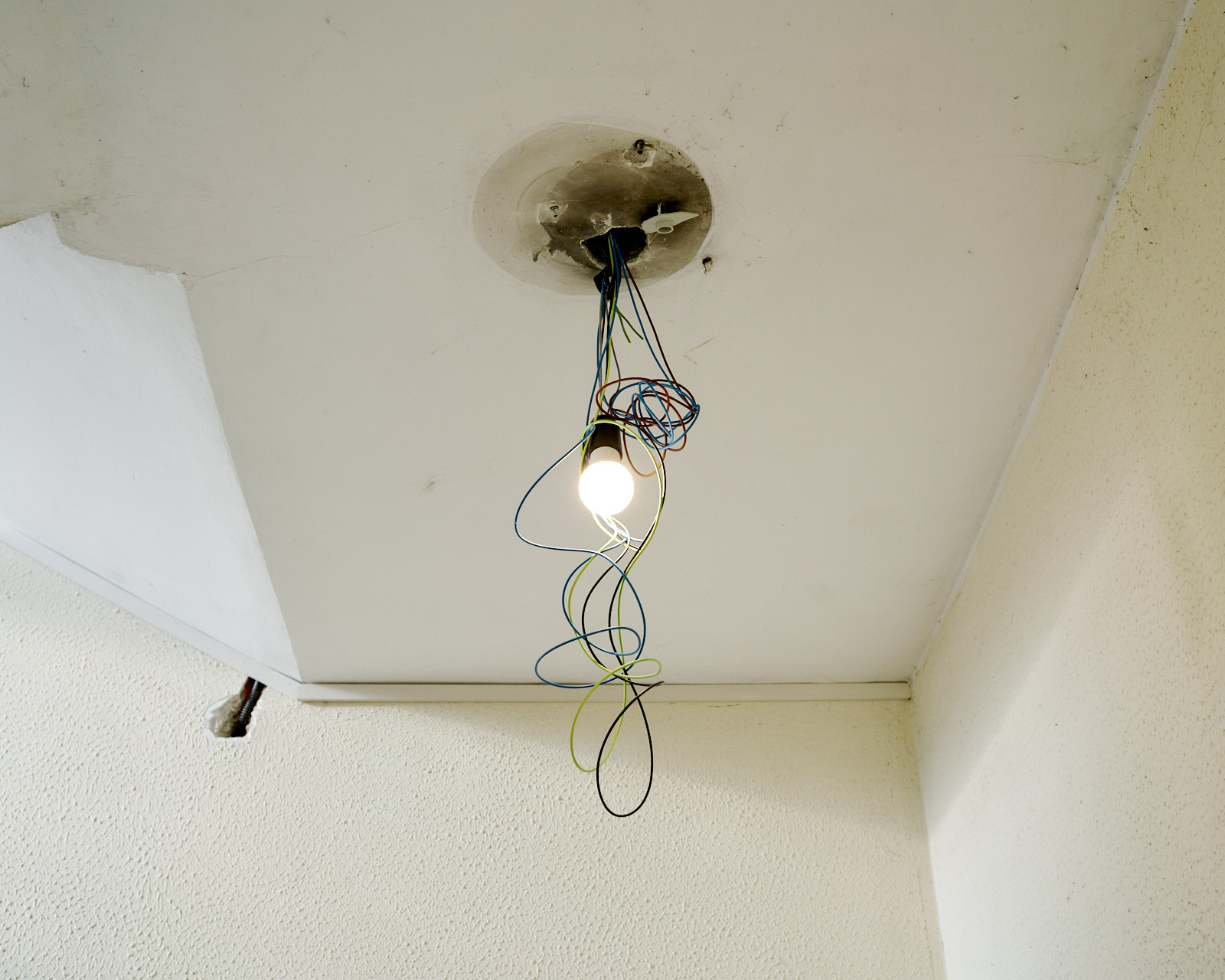 Bulb / Case Bianche, Milano, 2019