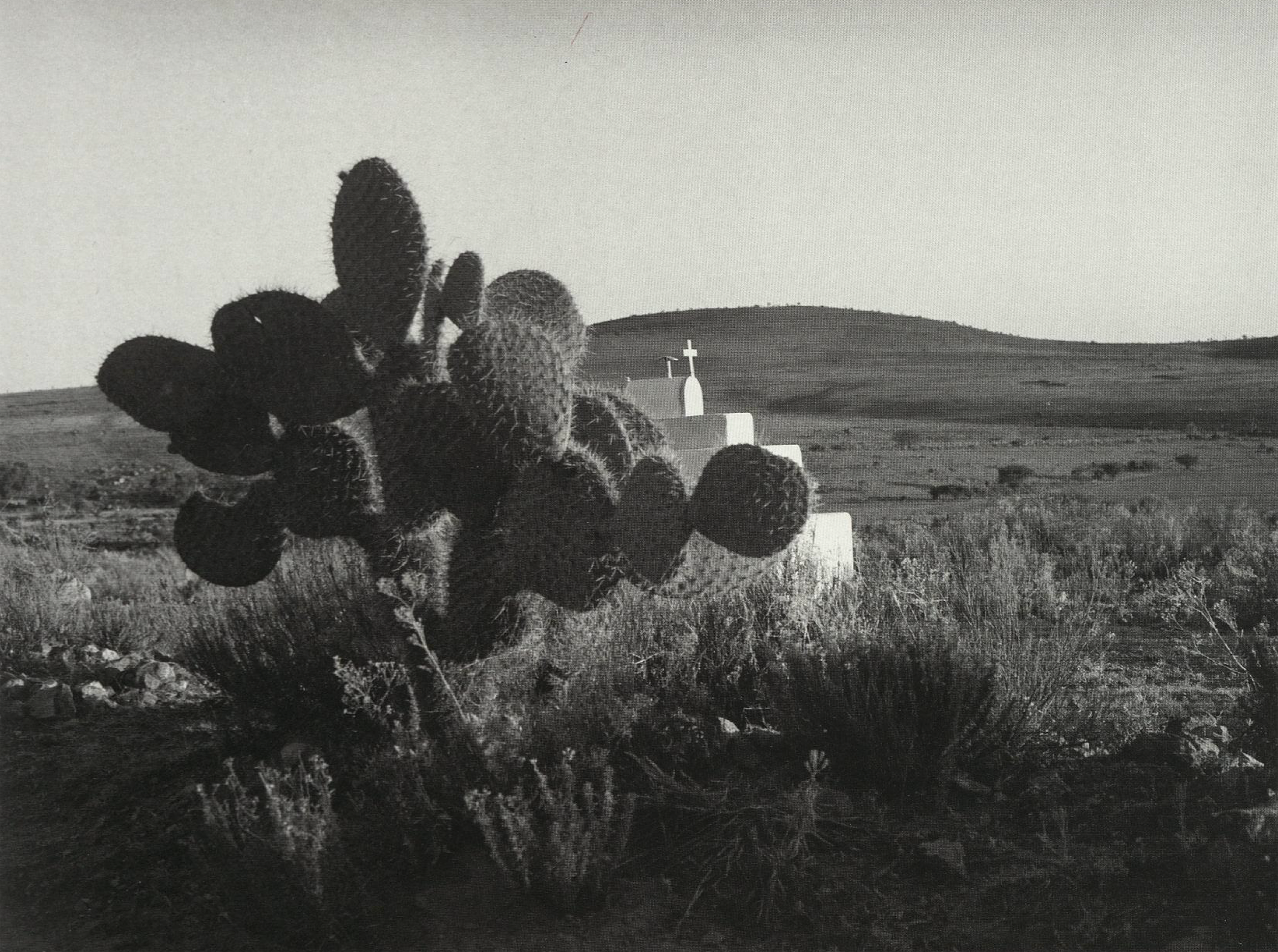 Mariana Yampolsky, Sin Titulo, Fresnillo, Zacatecas