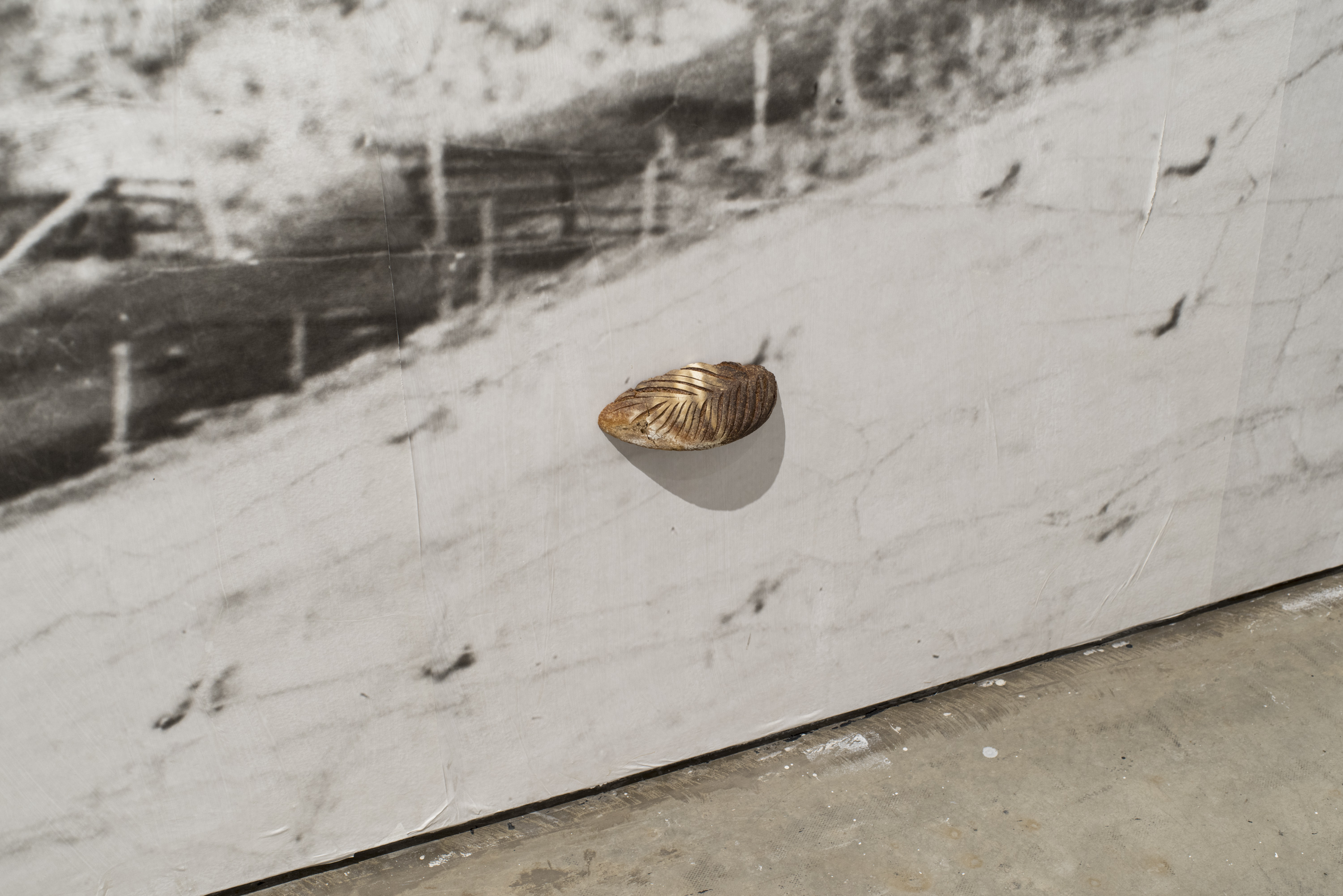 "Flights", [detail]. Courtesy Susanna Jablonski.