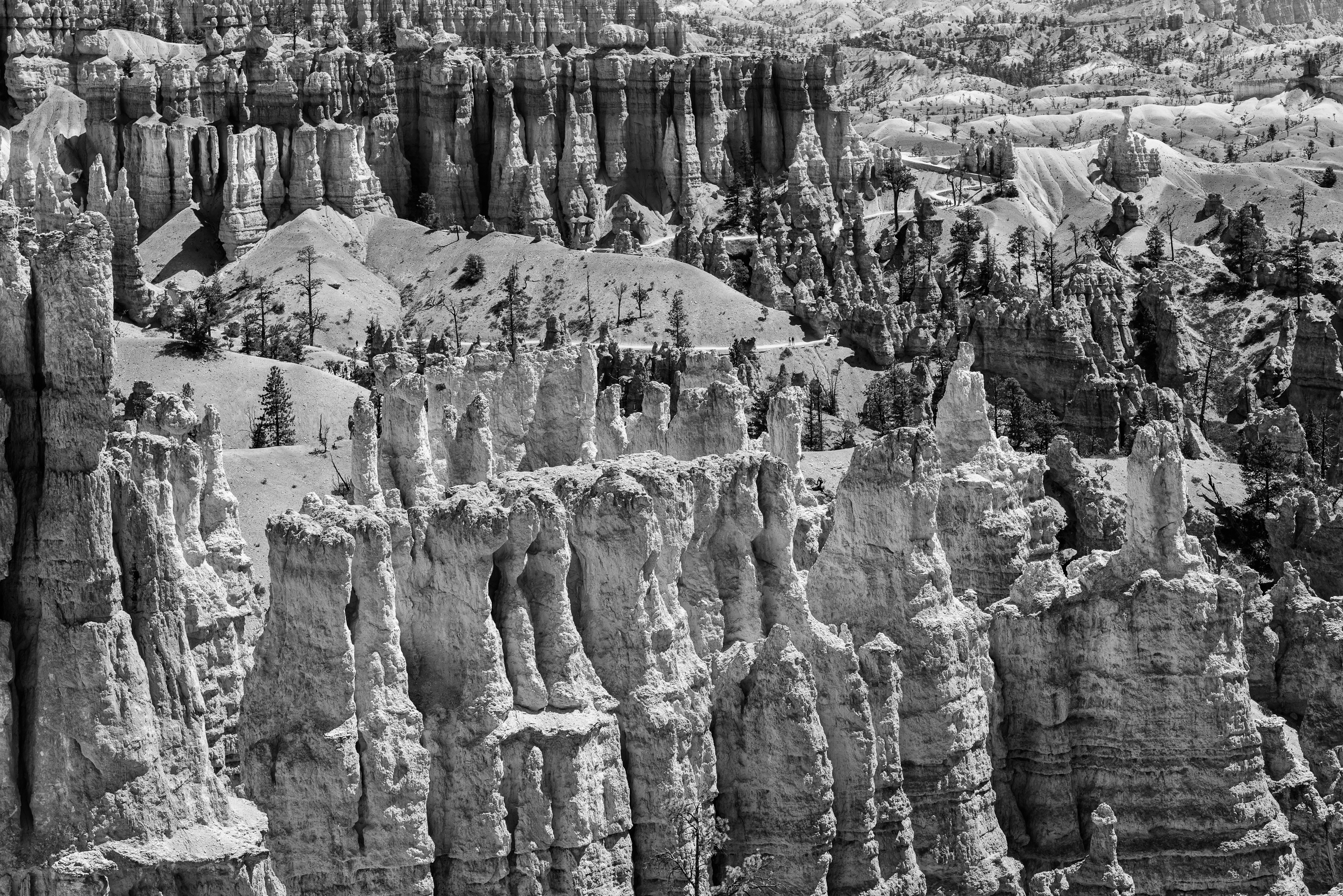 Bryce Canyon National Park (nom d'un charpentier mormon) situé dans le Sud de l'Utah avec ses hoodoos (cheminées de fée).