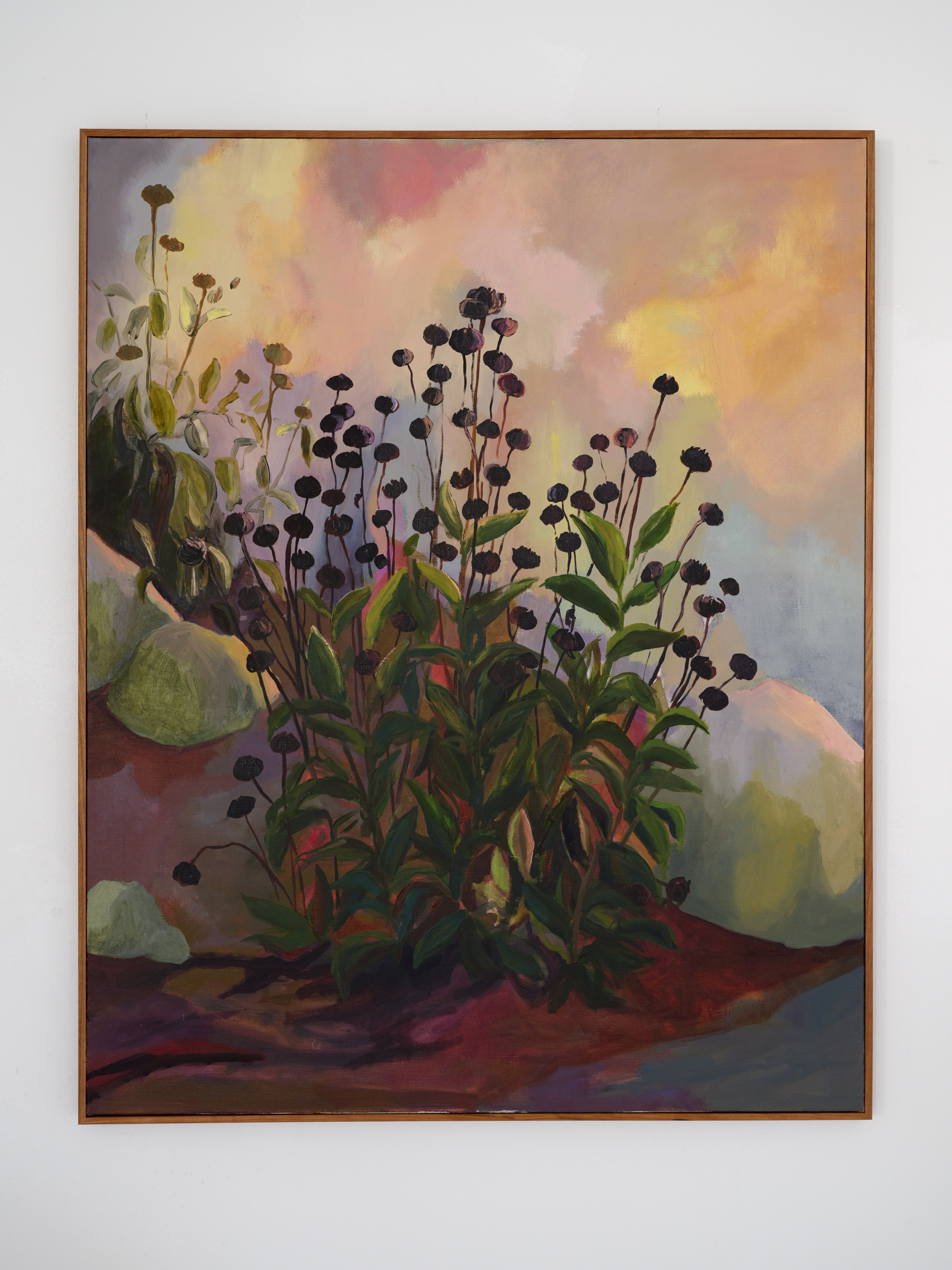 "Dead Daisies", 24 x 30 inches, oil on linen, 2025. (SOLD)