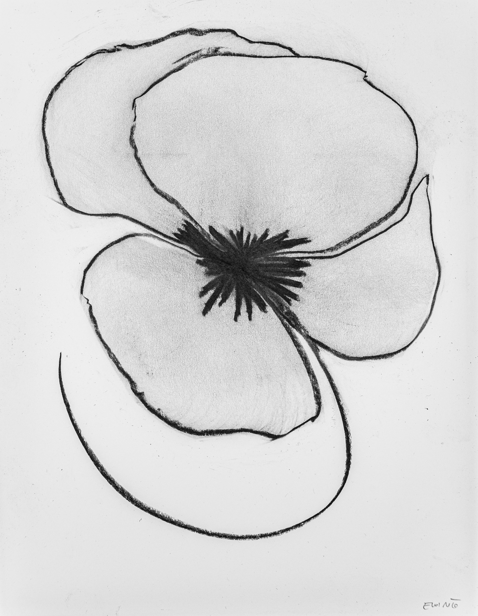 Floral Sketch 06 — $100