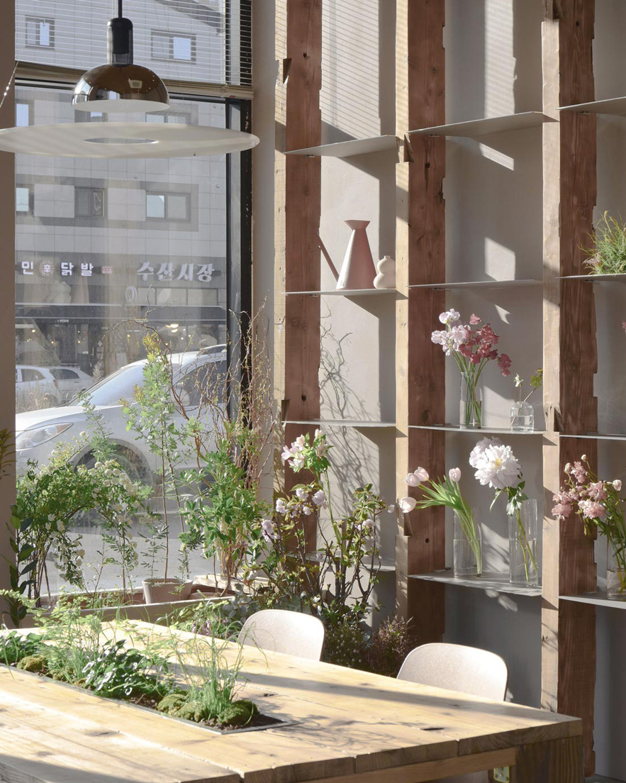 TODAY CHOICE - Picker Flower