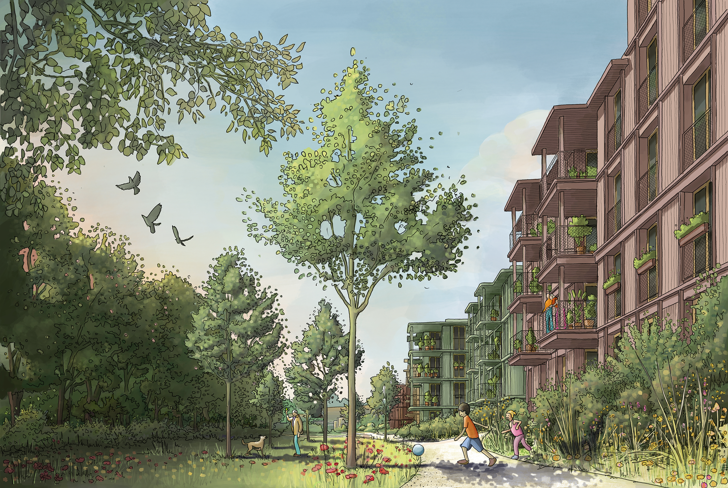 Housing Development CH