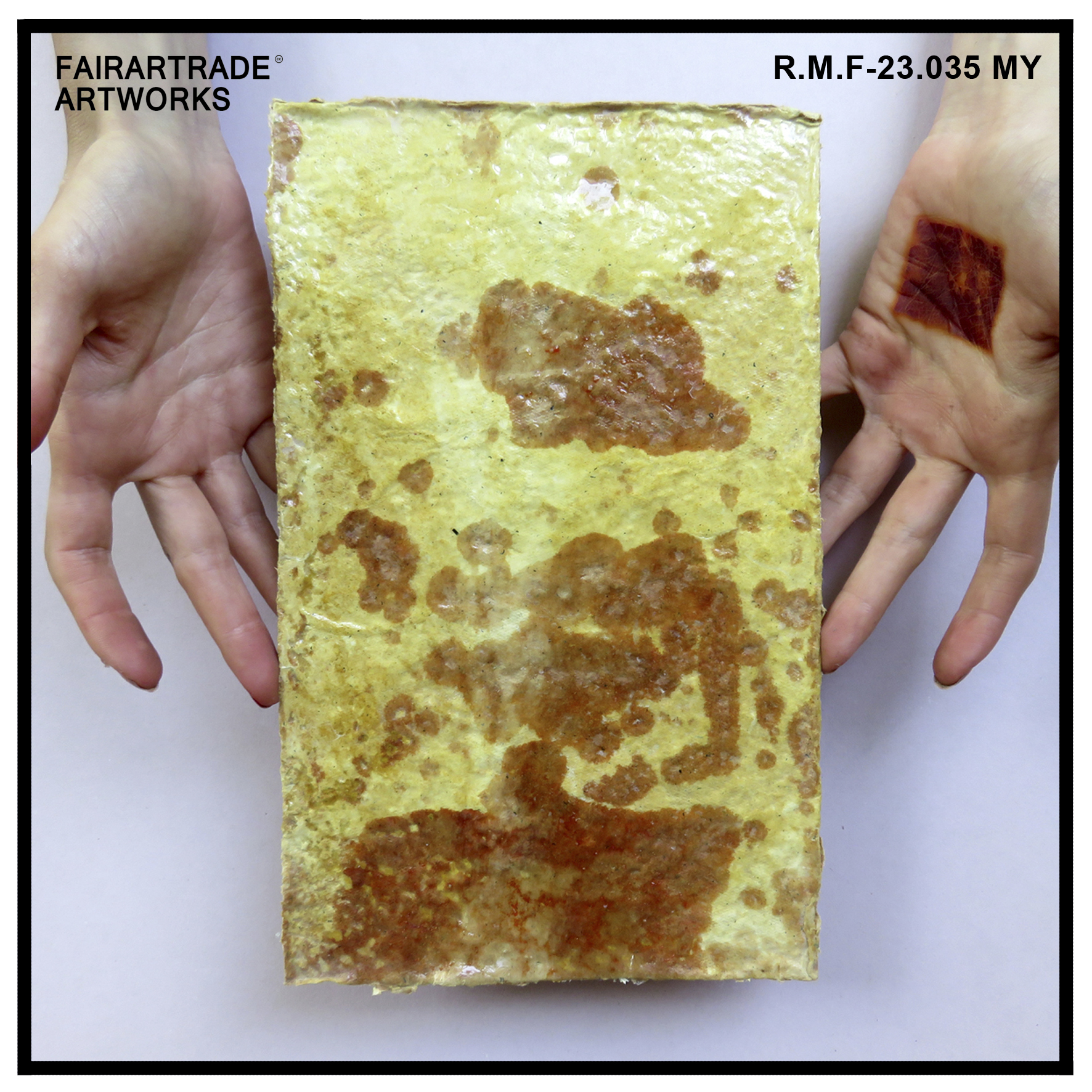 R.M.F-23.035 MY
