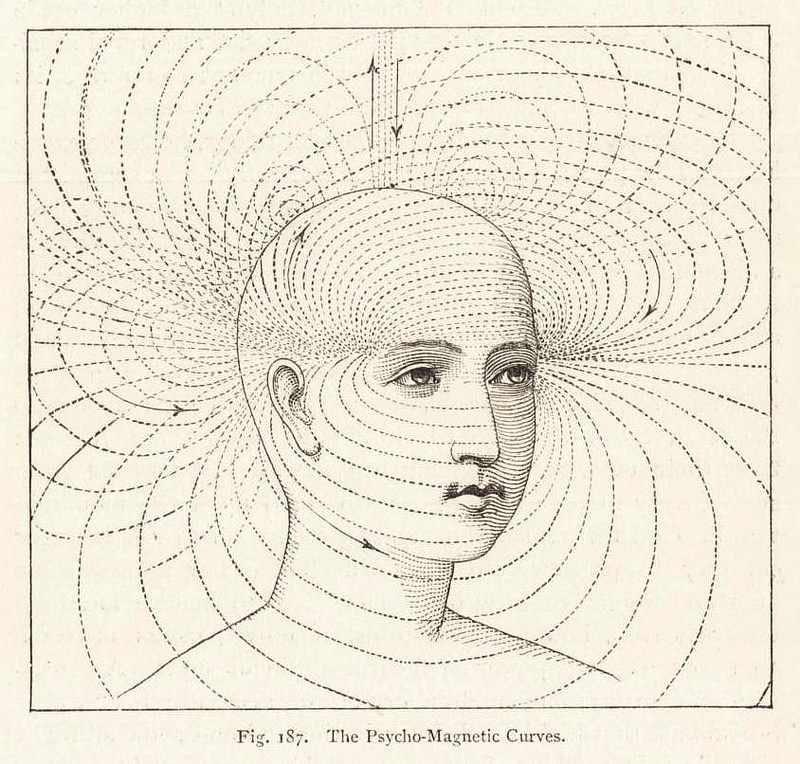 The Principles of Light and Color (1878)