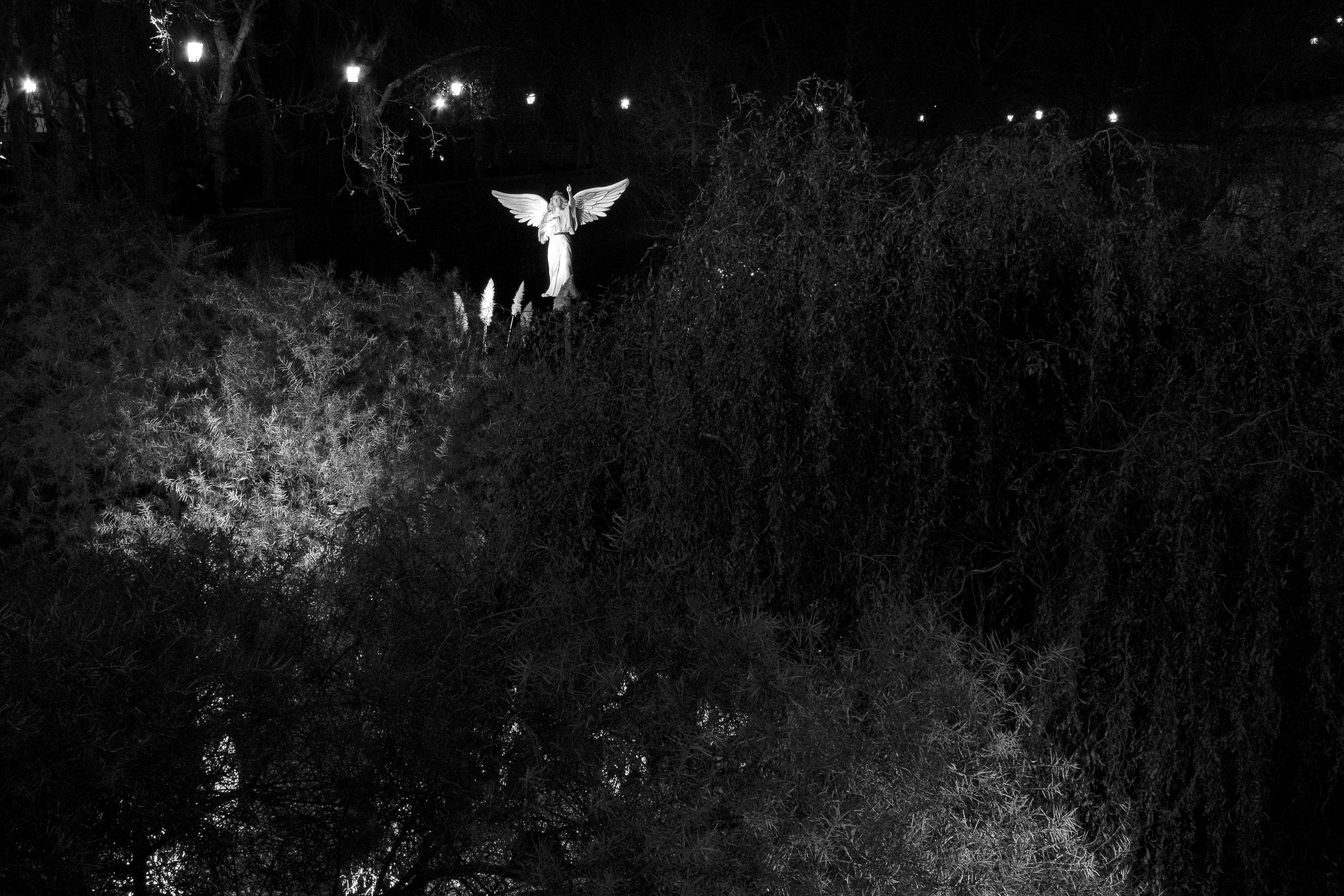 Angel appearing among treesPamplona, Spain, 2014photography, bw, single
