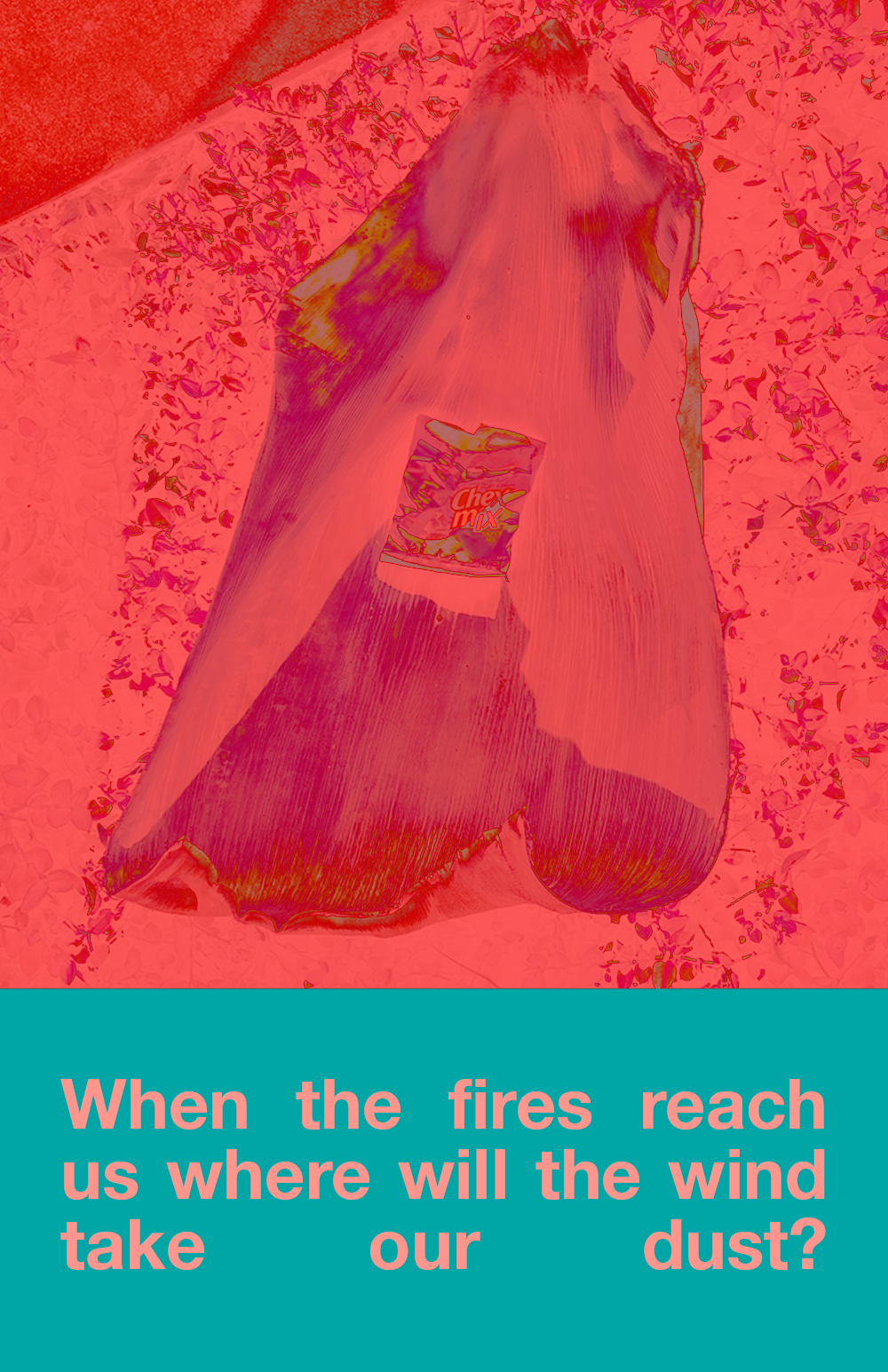 A photograph of a Chex Mex chip bag in a large leaf that is lying on the ground, coloured bright red with highlights of green. Below a teal box with the text "When the fires reach us where will the wind take our dust?" in pink. | COLLAGE | 2021