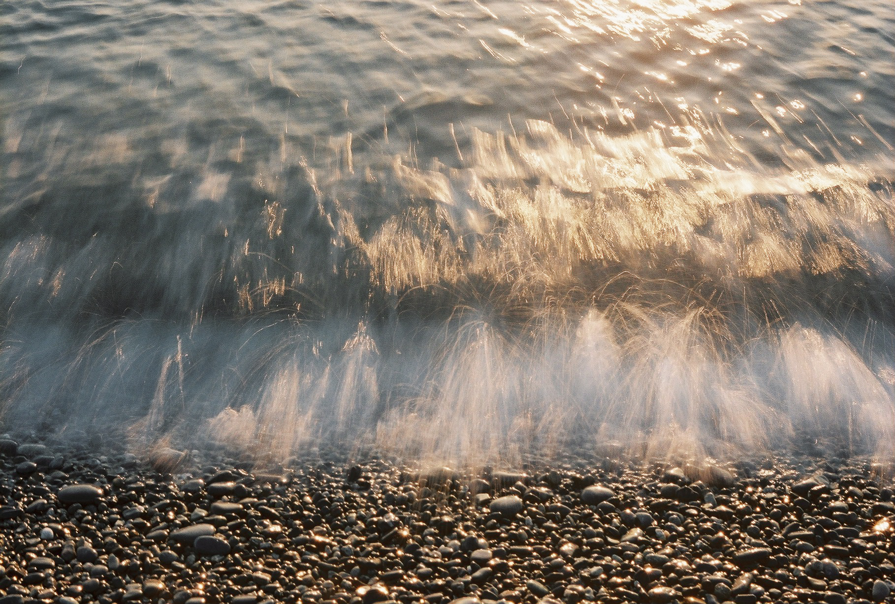 Shizuoka, Japan / 2022.1