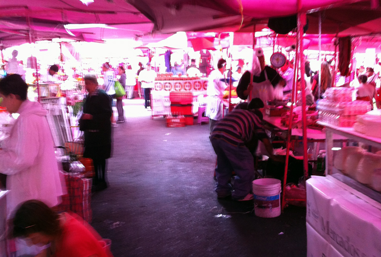 an interior view of the meat/fish/egg/dairy section of the market