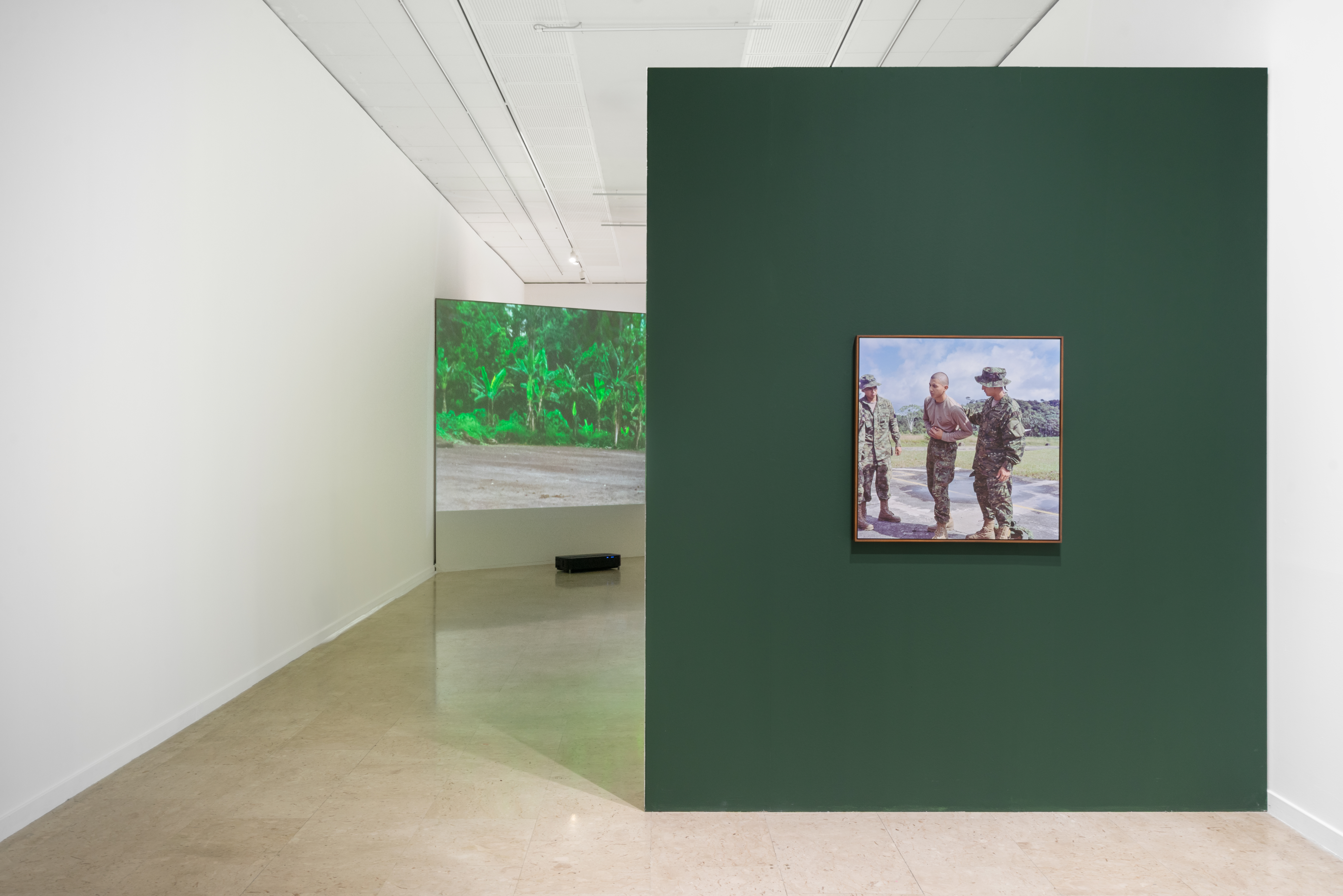 ‘Once Upon a time in the Jungle’ at the EXPOSED Torino Foto Festival 2025. GAM, Torino