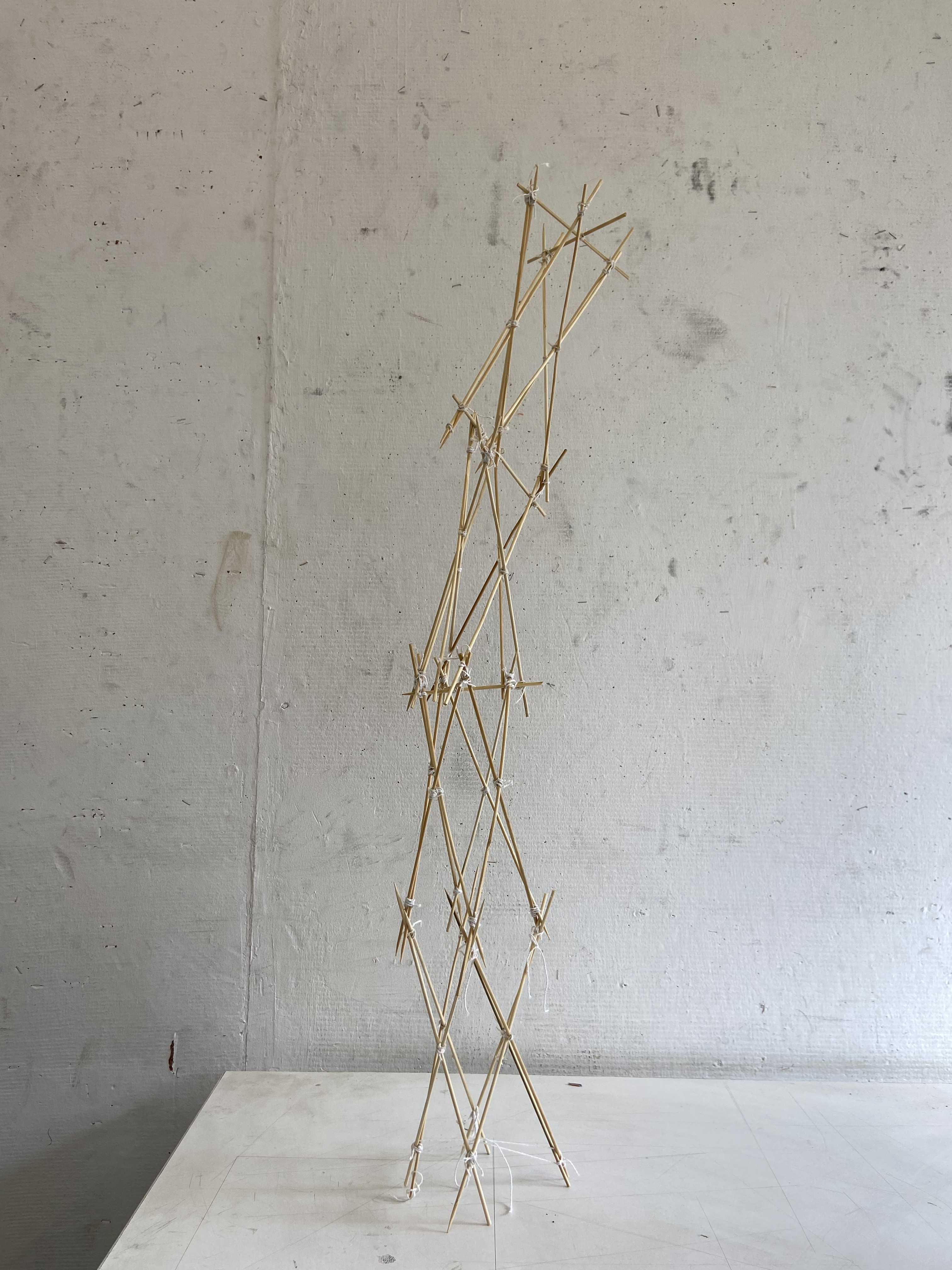 Sem 02 | Material Systems