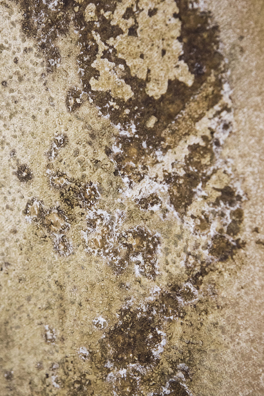 PHOTOGRAPHY RAF STUDIO for YOSHIDA's FARM at  VILLA KUJOYAMA