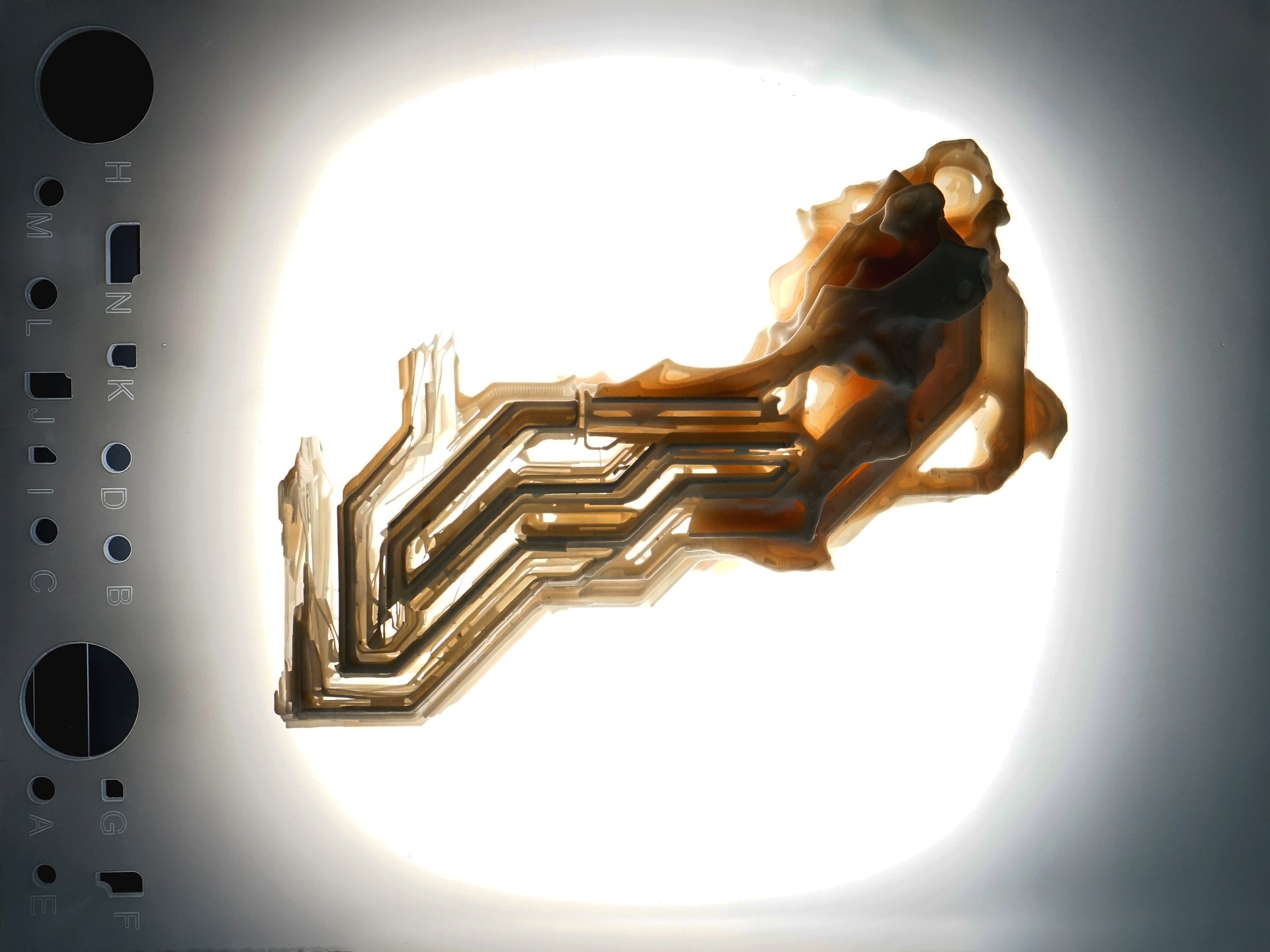 Physical Growth Model