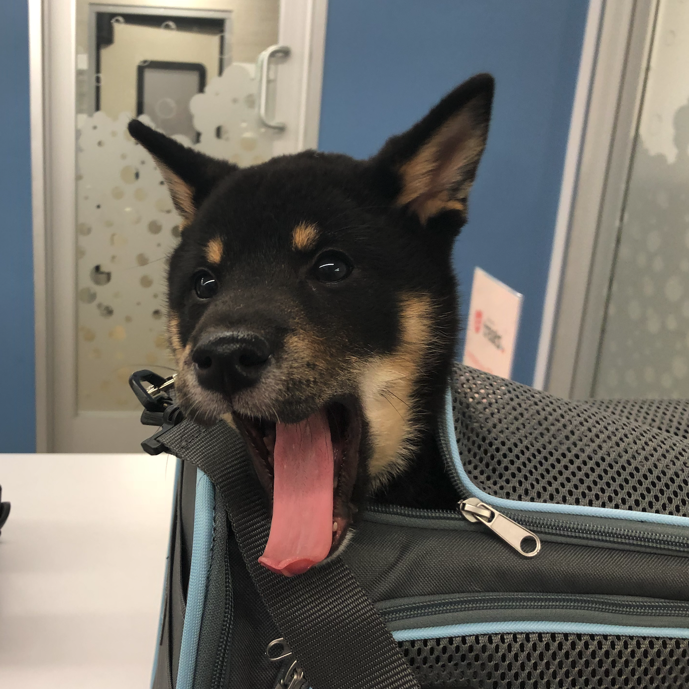 413 Request Entity too large