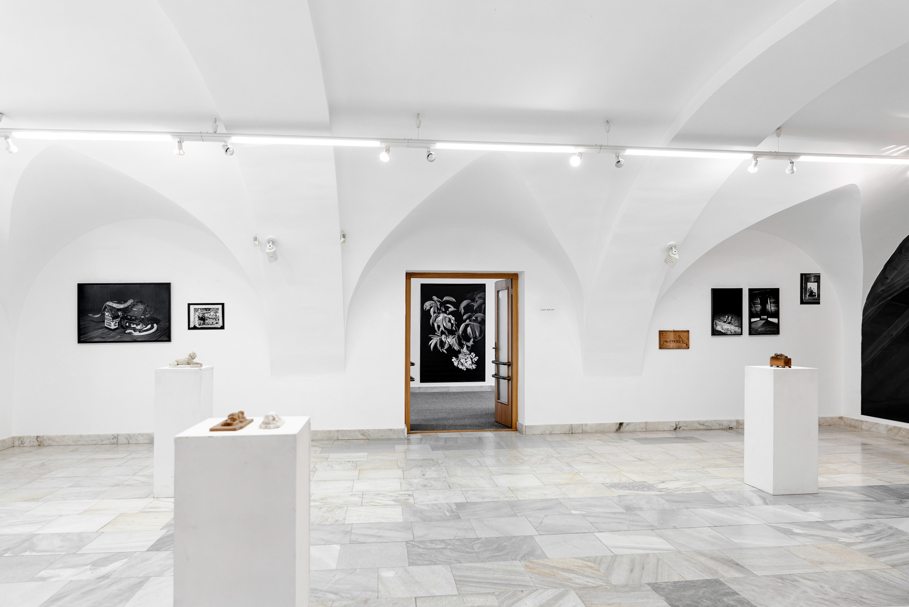 Plexus. Galerie Jiřího Jílka, Šumperk, 2025. With Eugen Ruppert, curated by Pavlína Vogelová.