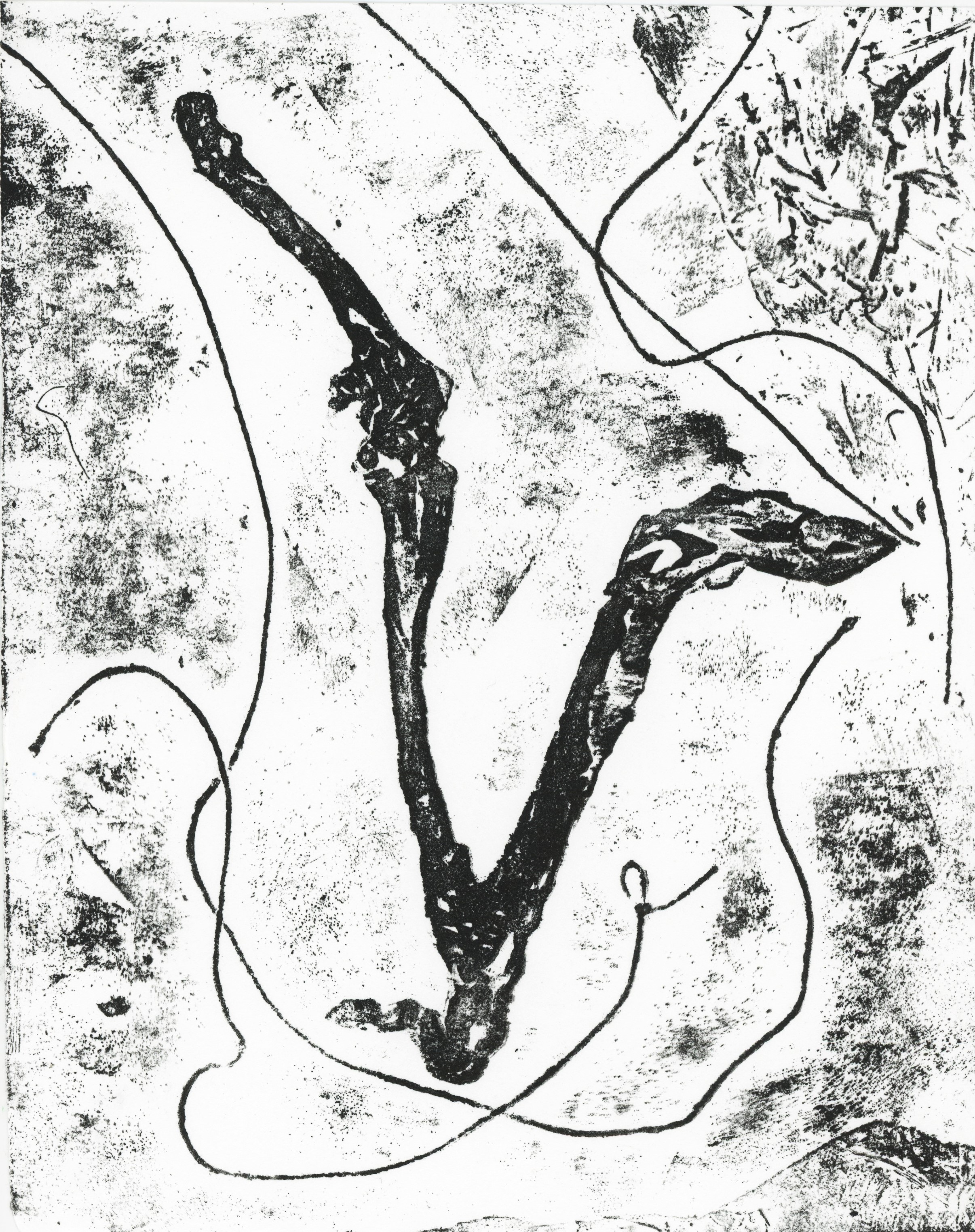 collagraph, state 1