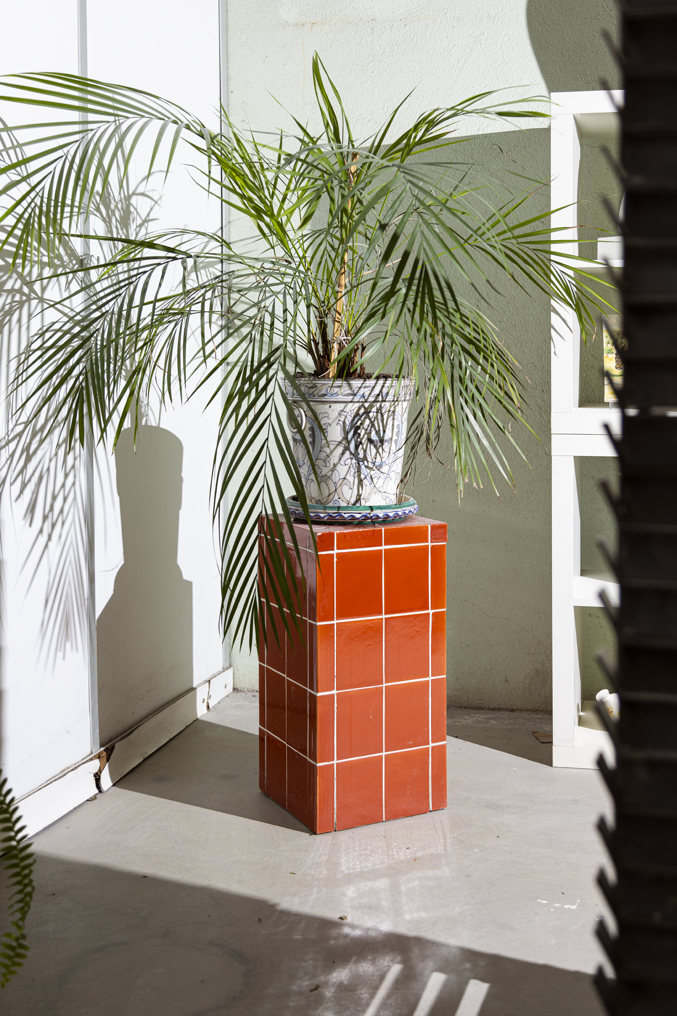 Photo for Viuva Lamego