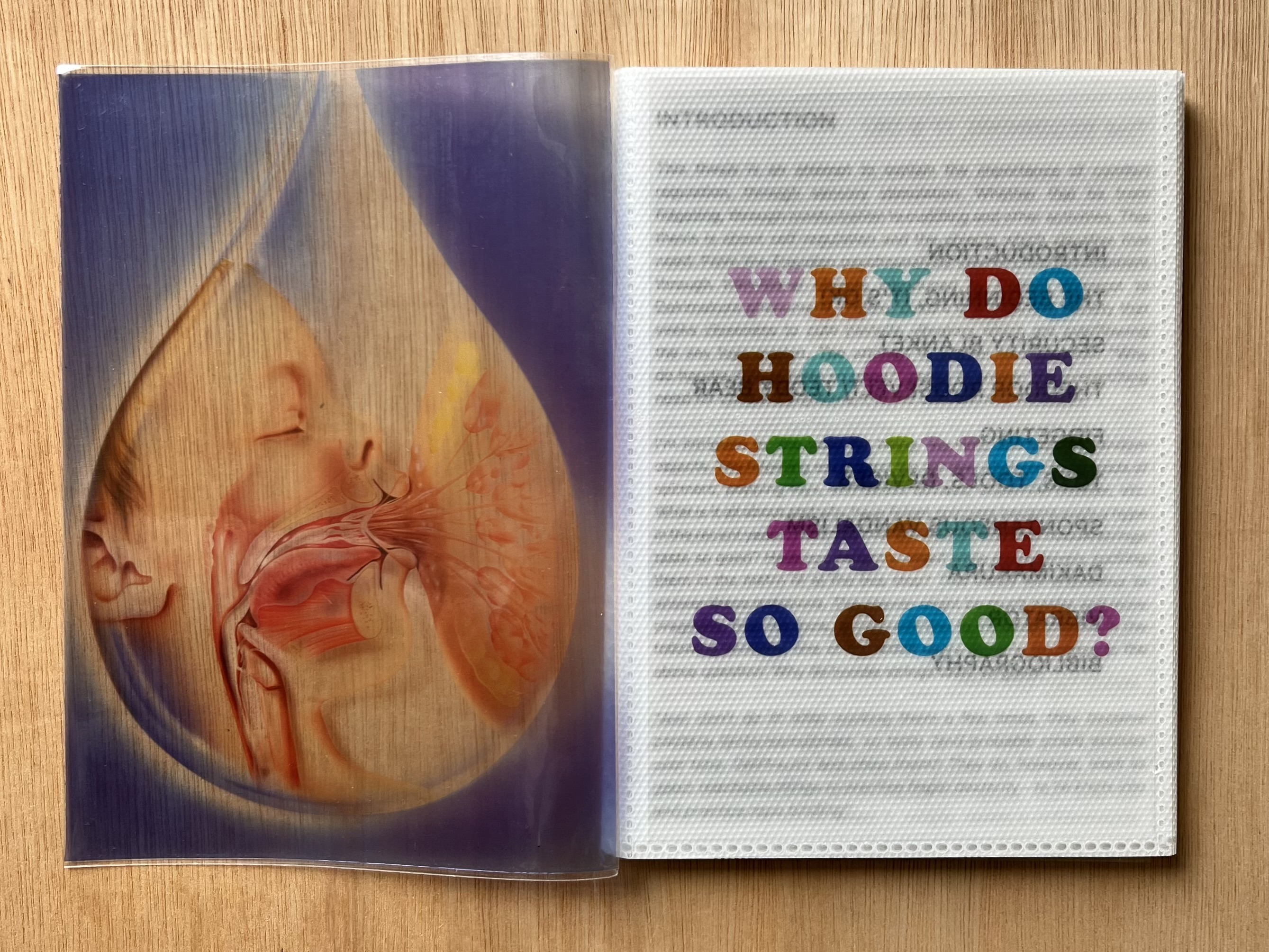 Ignacy Radtke - Why do hoodie strings taste so good? - Printed Matter