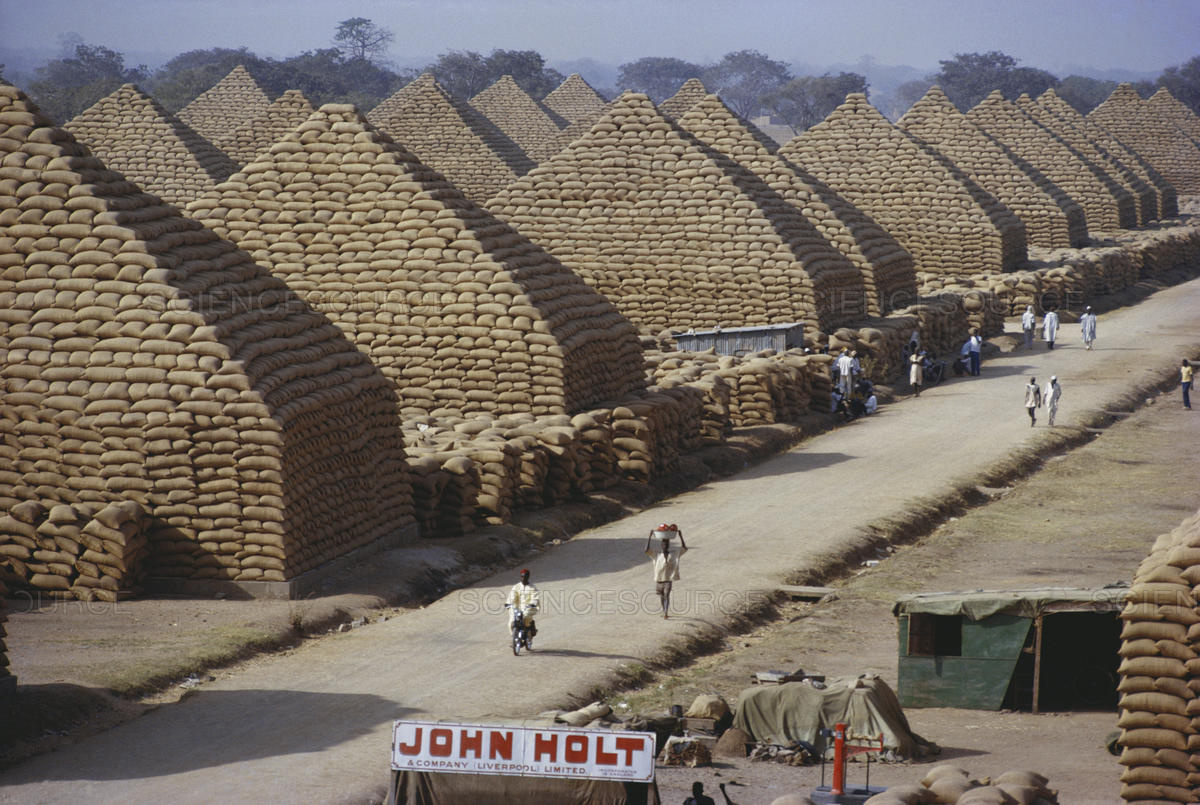 Ground Nut Pyramids | Nigeria