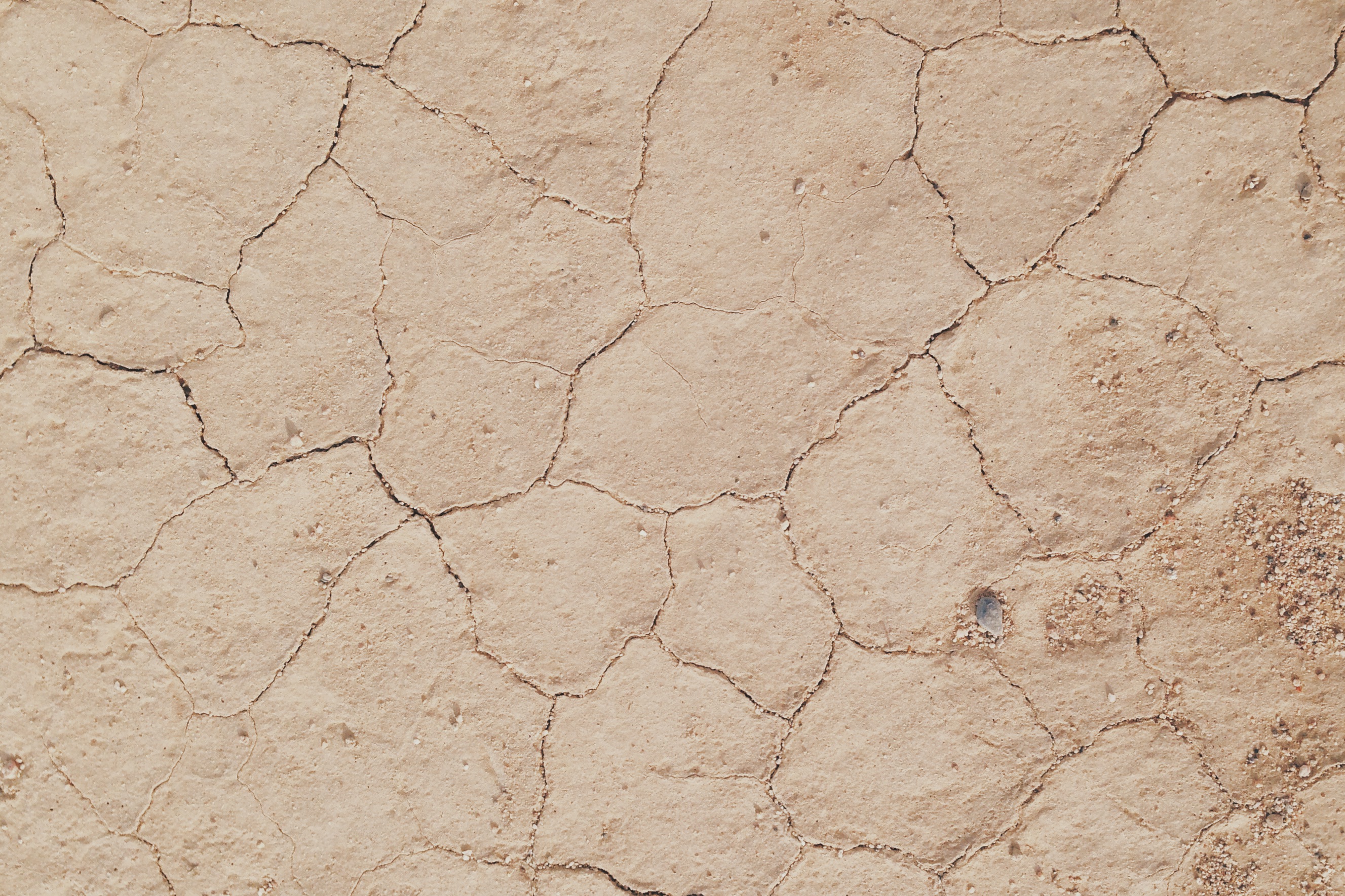 Arizona, José Enrique Montes Hernandez, Nice Like That, Photographer, Design