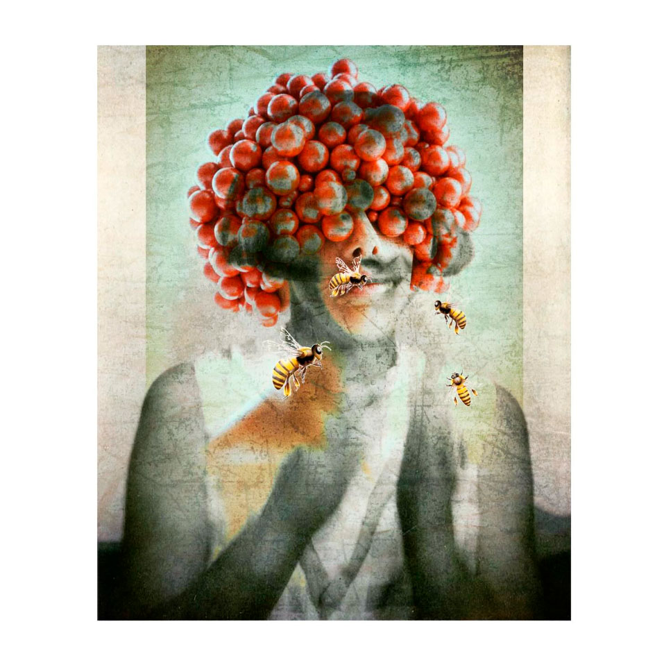 sites.seenphotography