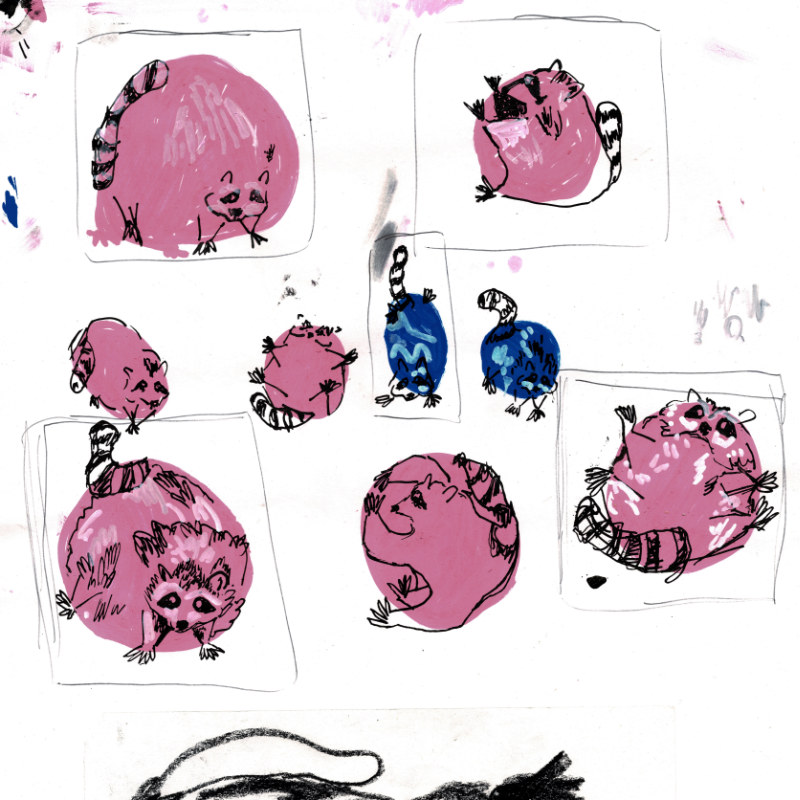 Development thumbnails which would inform my Raccoon screenprint project. Paint pen, March 2023.