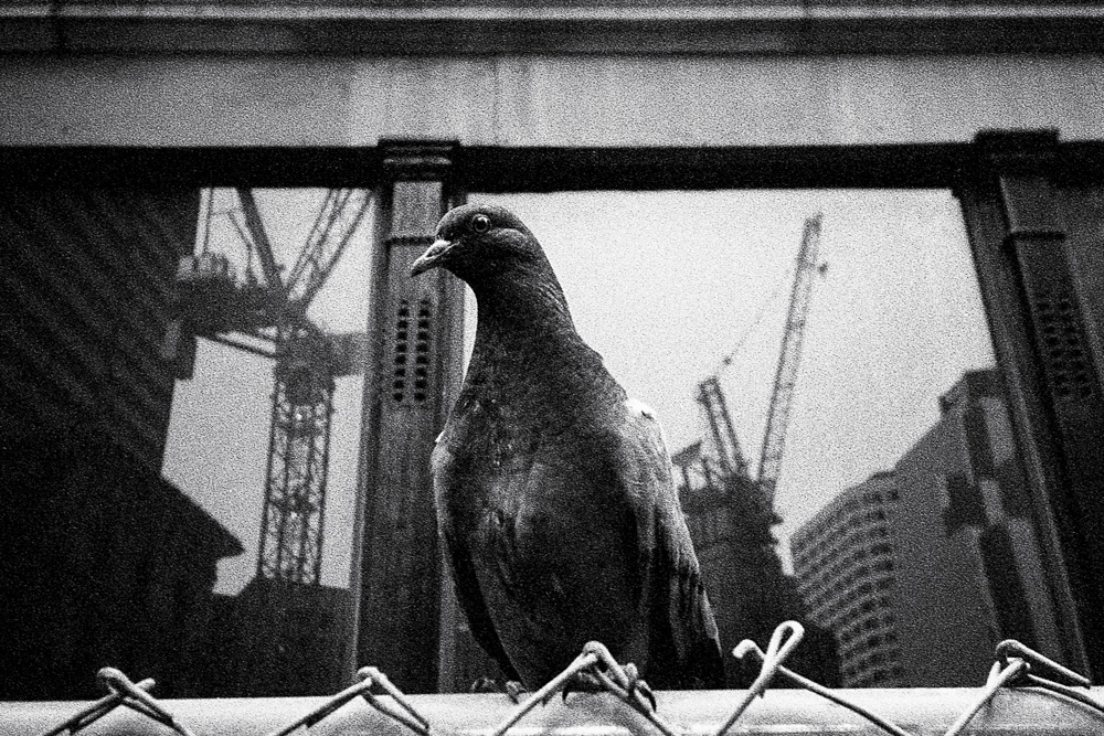 Downtown Boston, 8/2020