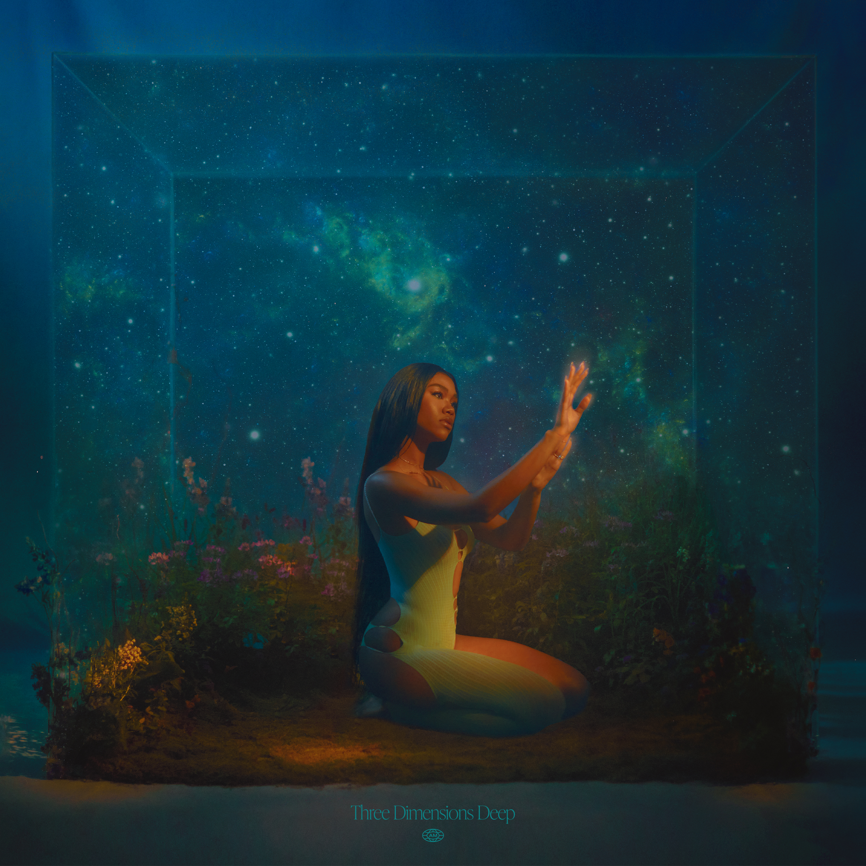Digital release cover