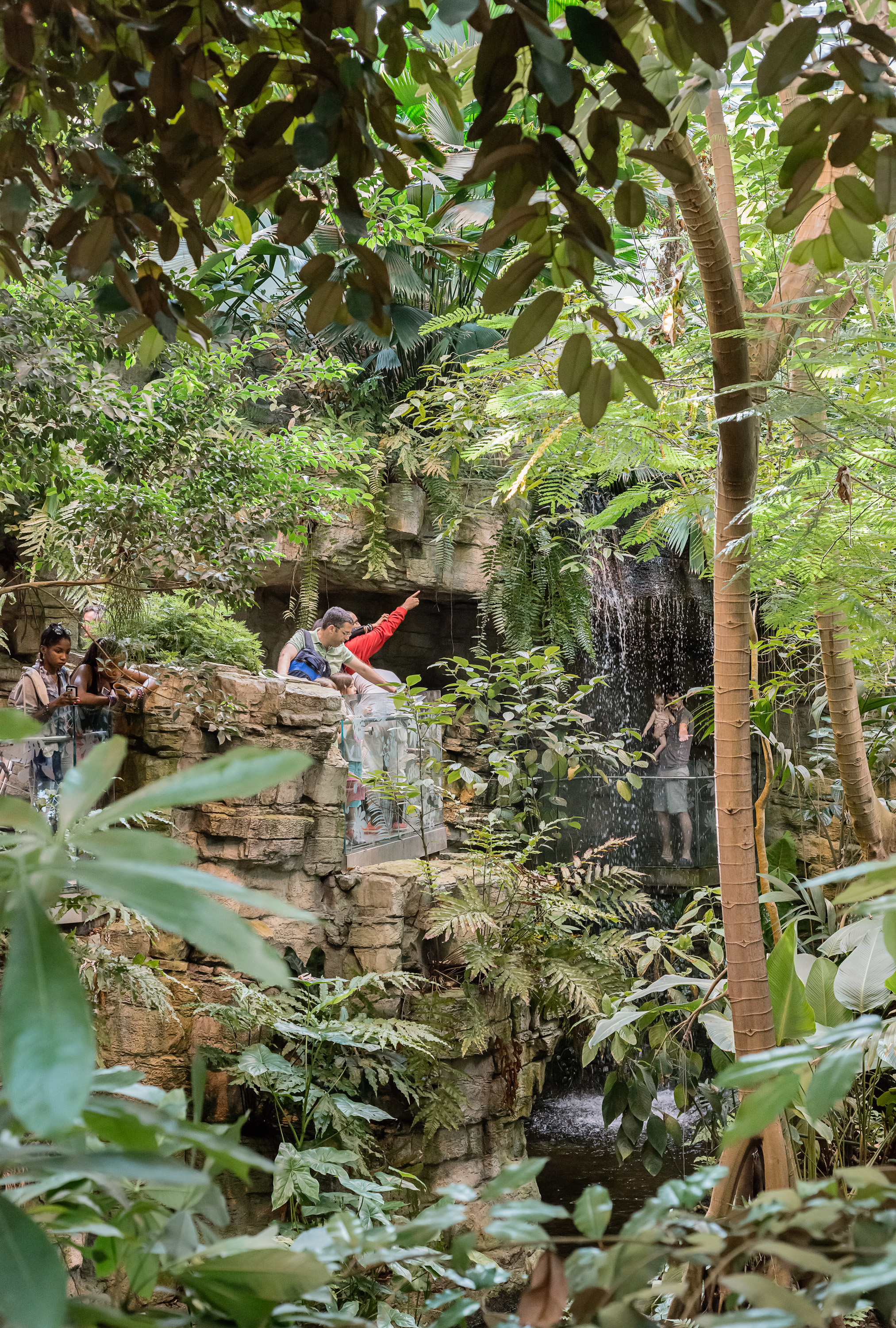 "Jungle Scene"27"x40" archival inkjet print