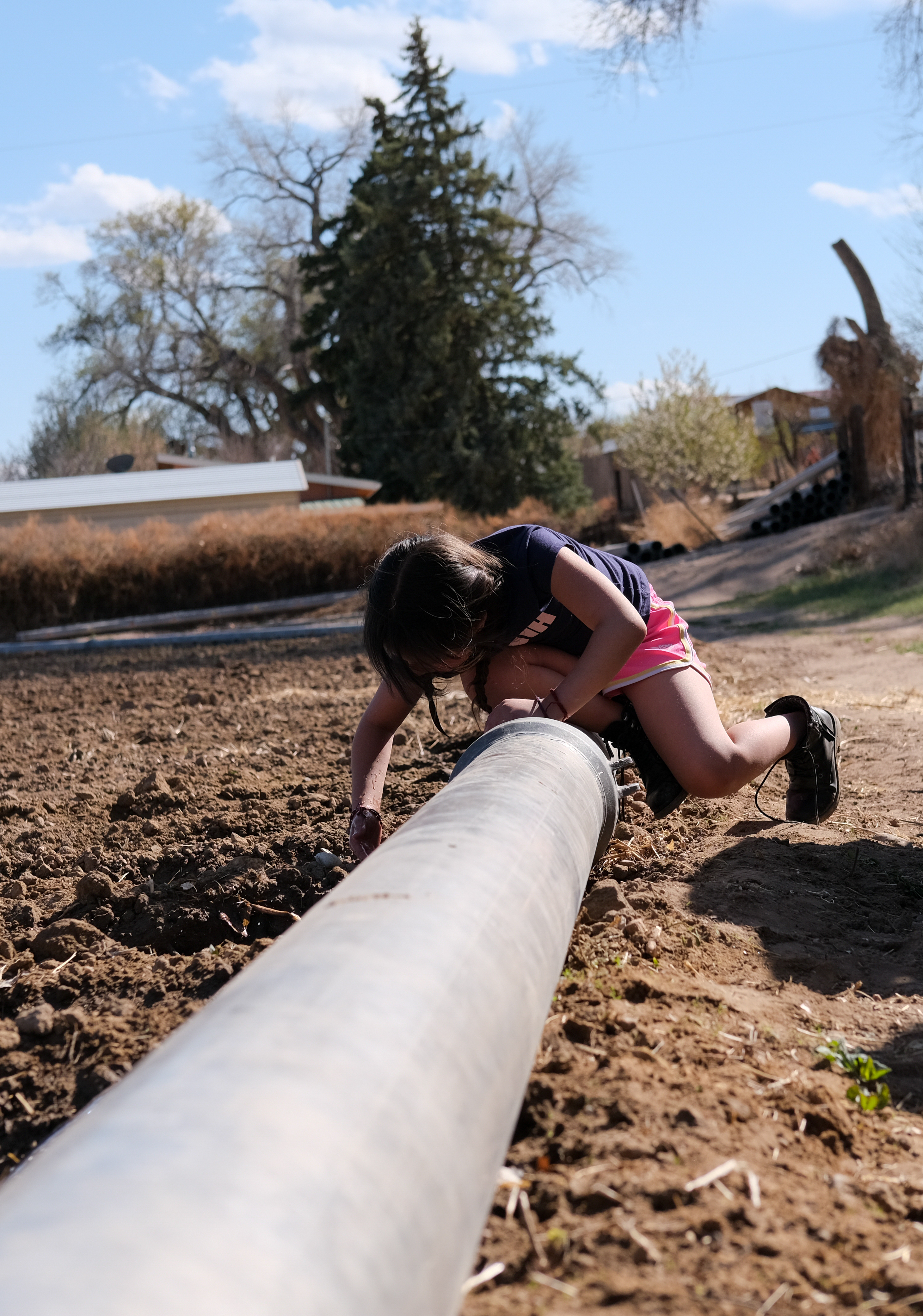 A young girl helps her father plant potatoes on their family farm in El Guique, NM.