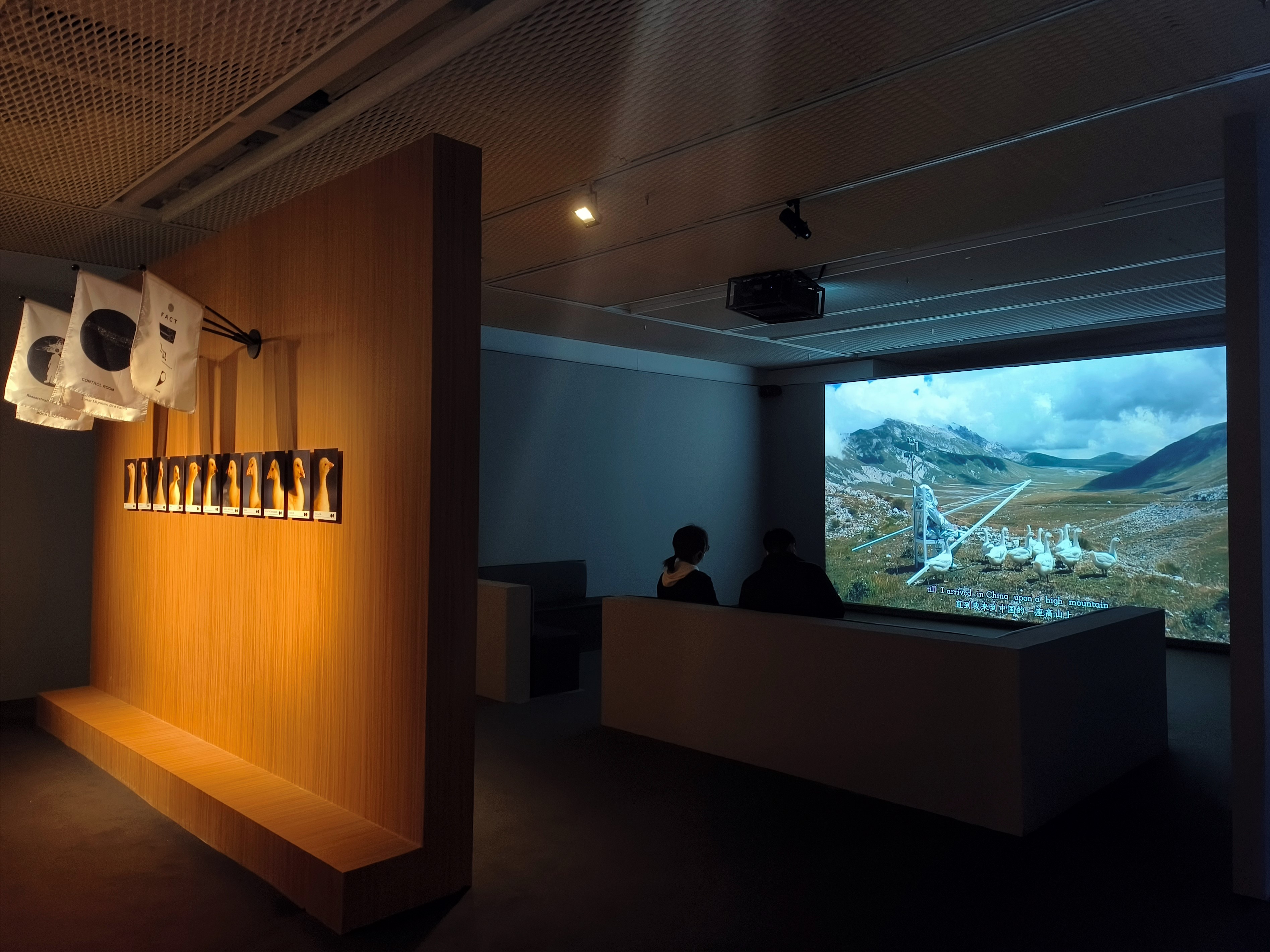 Moon Goose Colony (film) and Moon Goose Hall of Fame by Agnes Meyer-Brandis