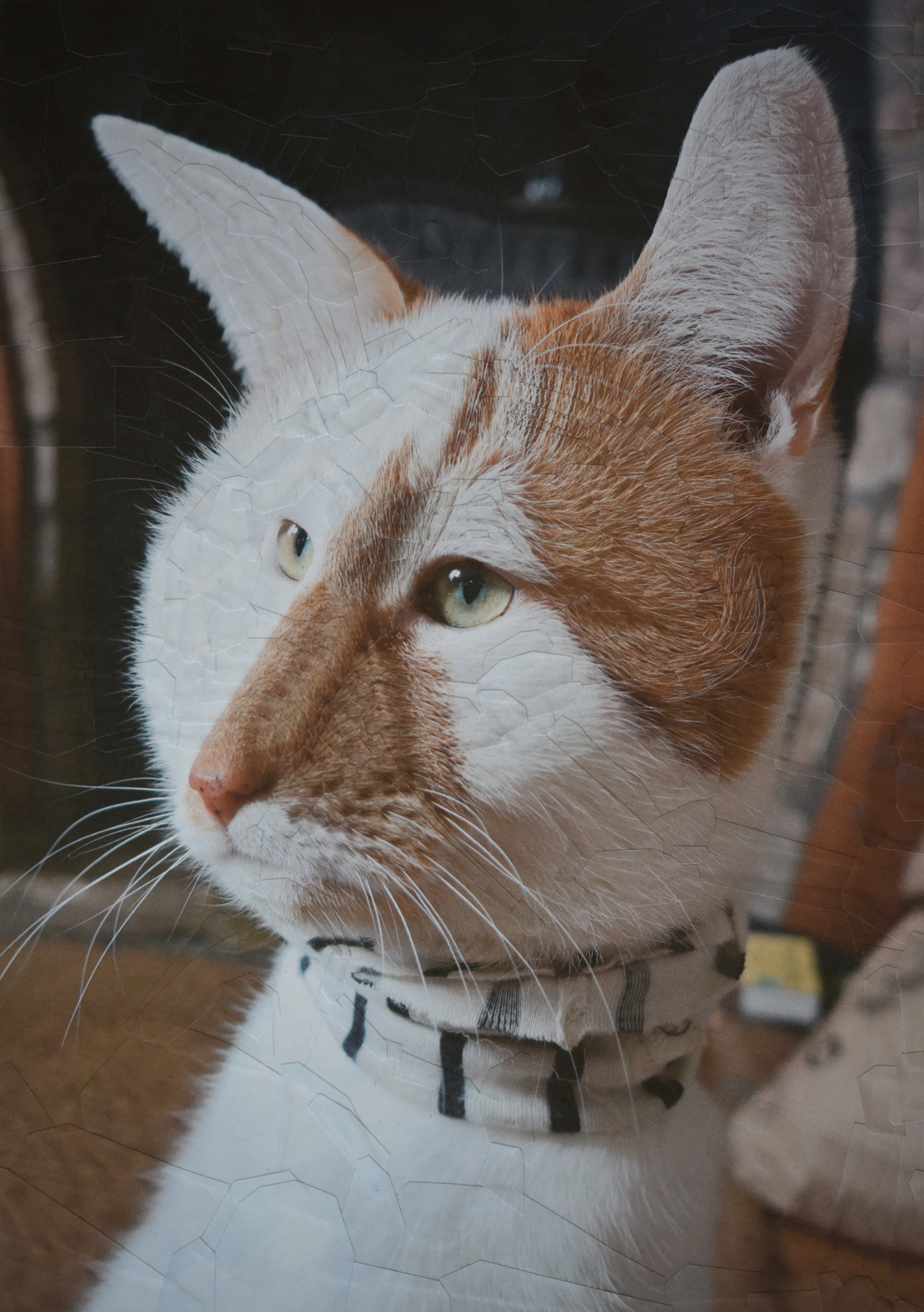 Charlie XVI the recovery, 2019, 8.2 x 11.6 inches