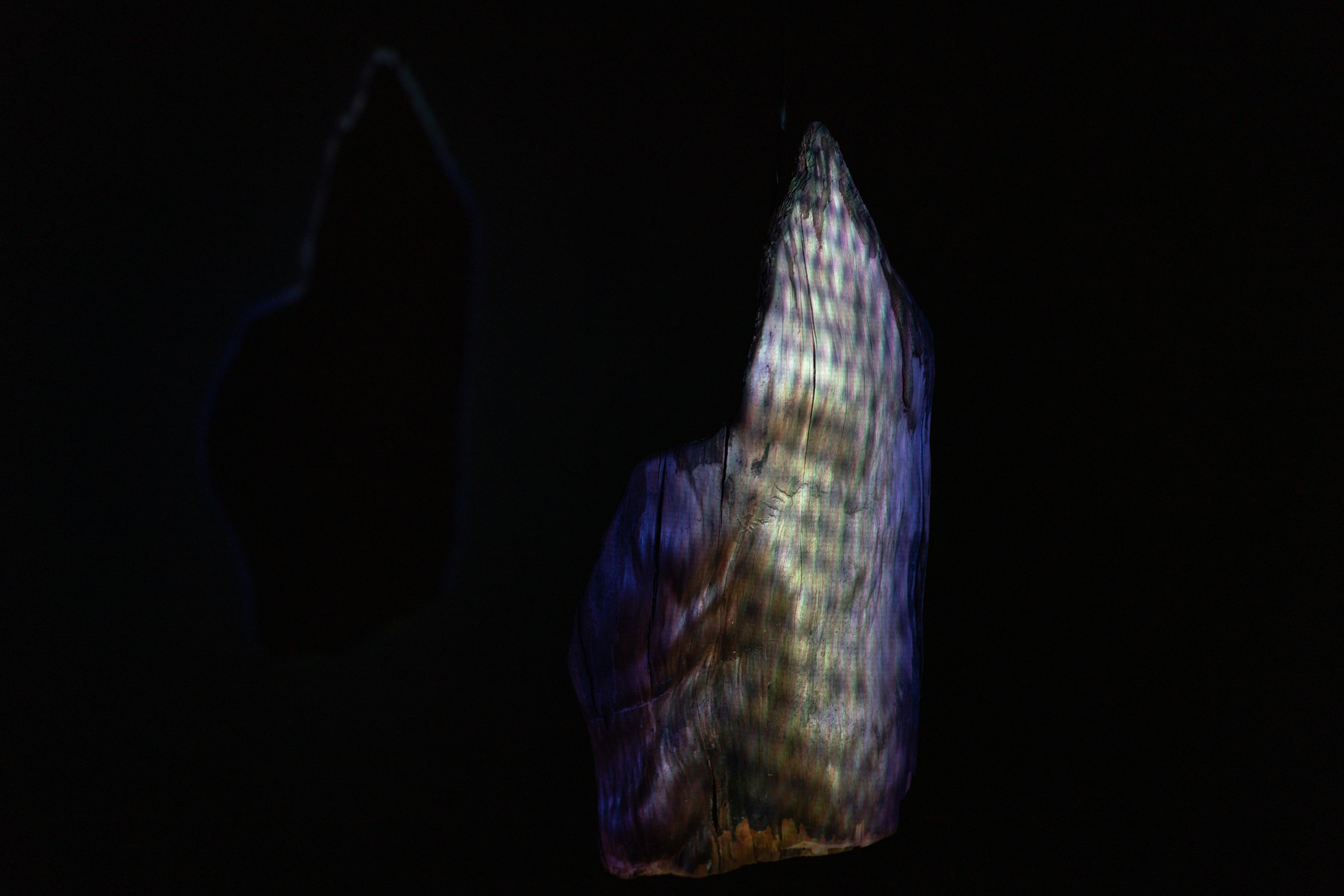 Image by Simone Fischer