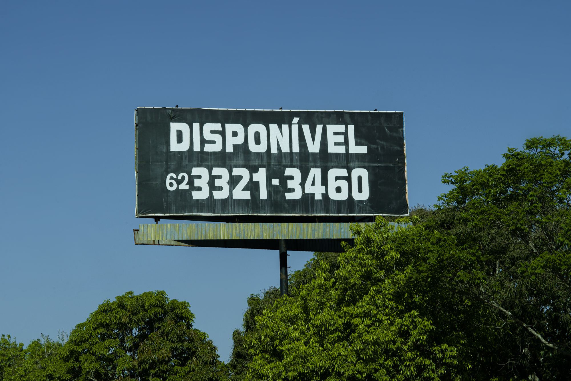 Disponível #28