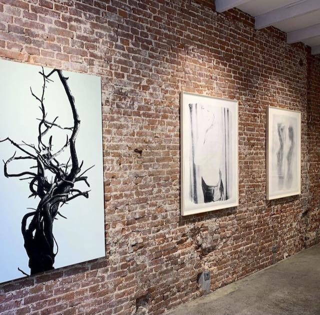 Booklaunch & exhibition BODY MAPS at Galerie Caroline O’Breen Amsterdam 2020