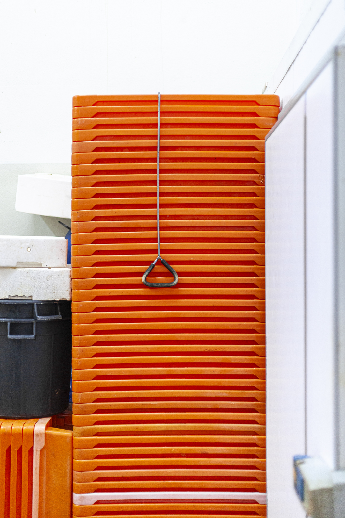 Photo for Atlantic Future