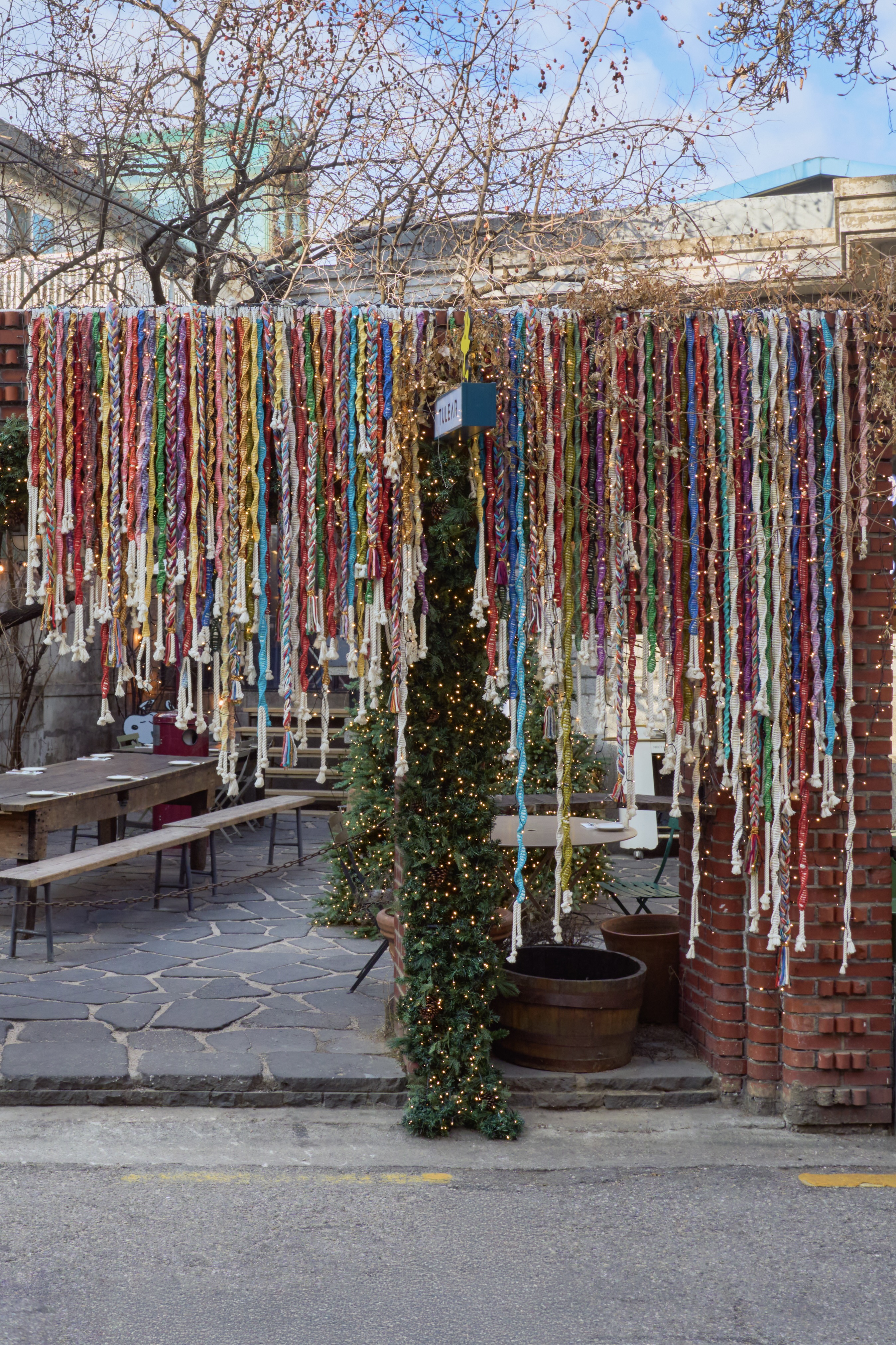 Multichromatic Tendril / 2025