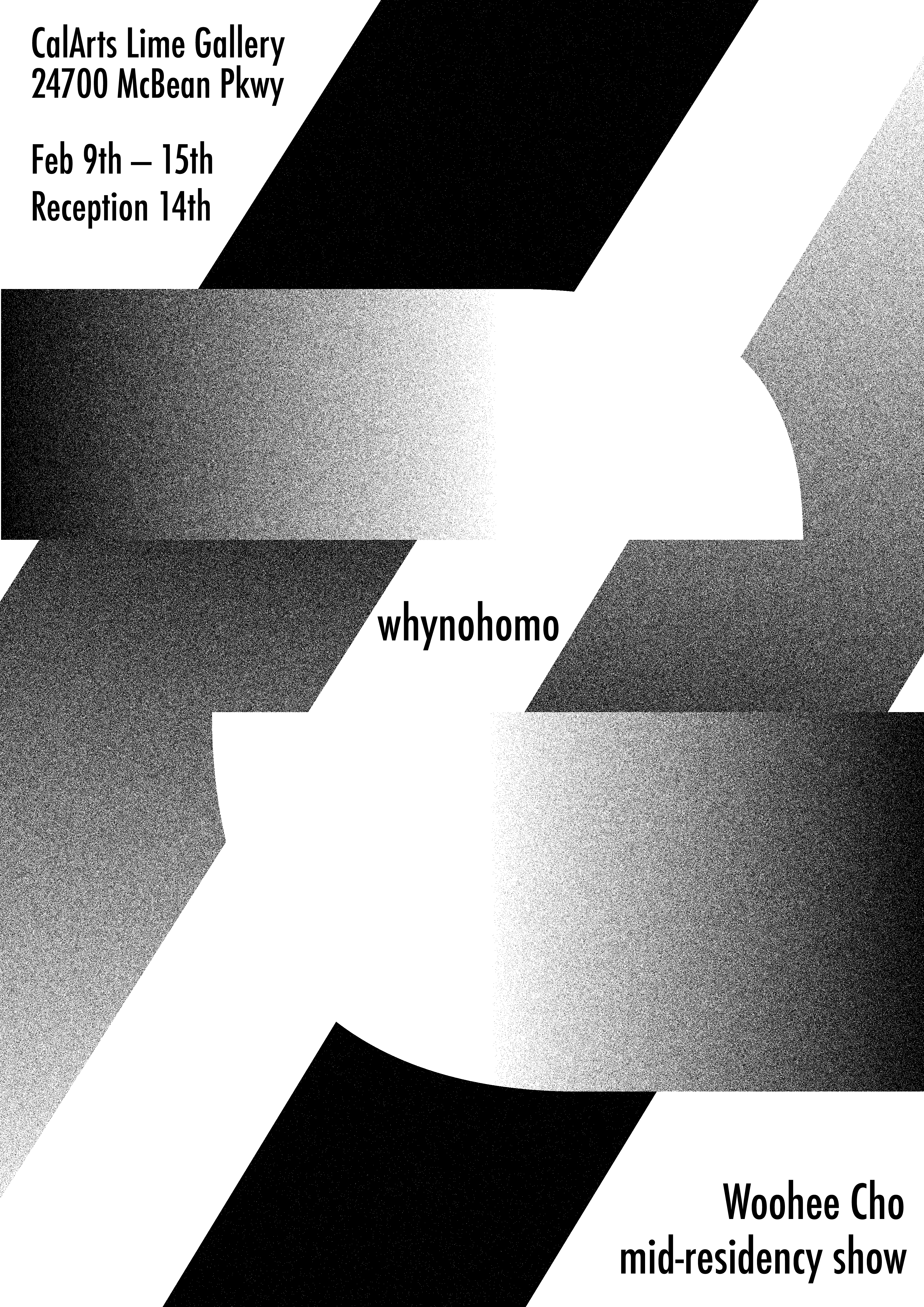 hashtag whynohomo, exhibition poster