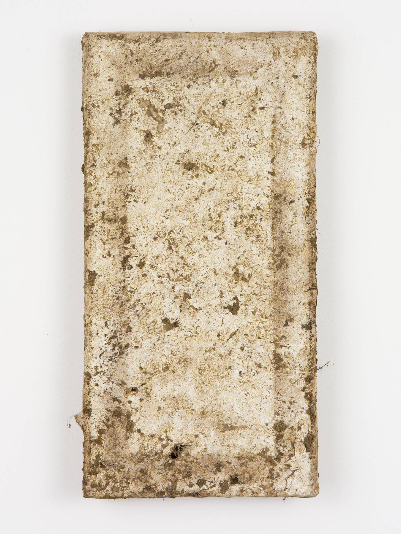 Buried / Five Months / Stretched Primed Linen / 400 x 200mm / 2021