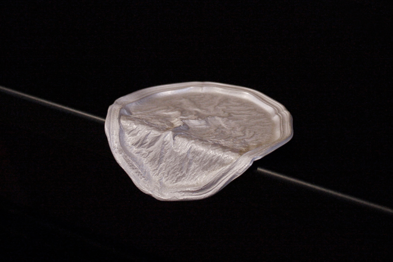 Zyggy • Found Silver Tray • 2015