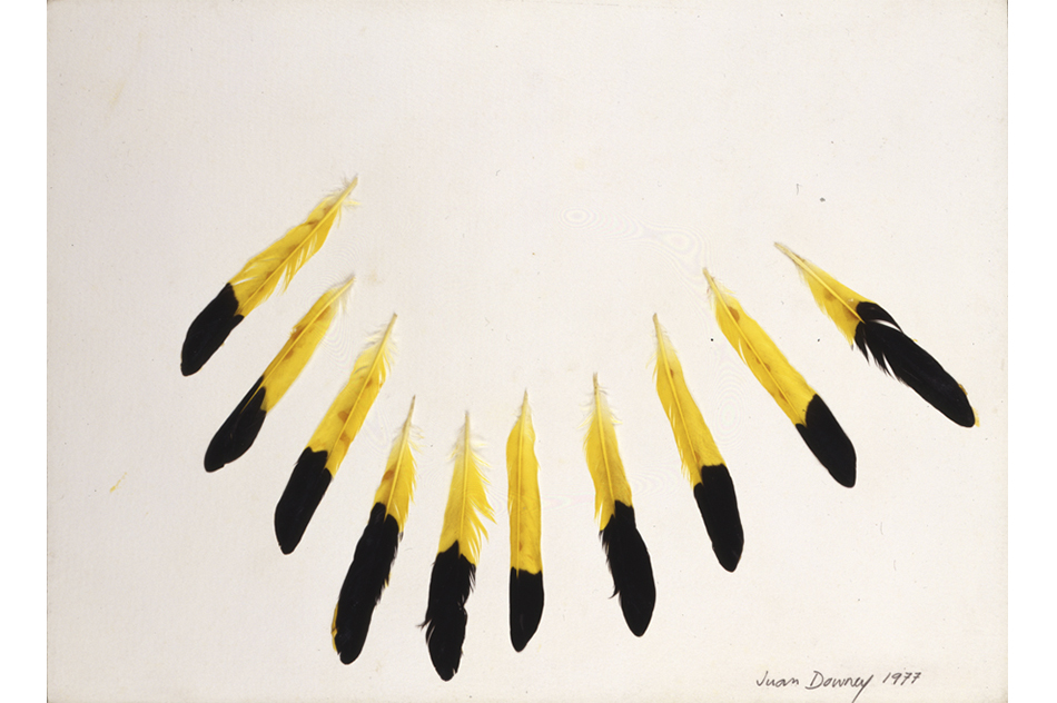 Juan DowneyUntitled, de la serie "Meditations", 1977Plumas sobre papel28 × 38 cm
