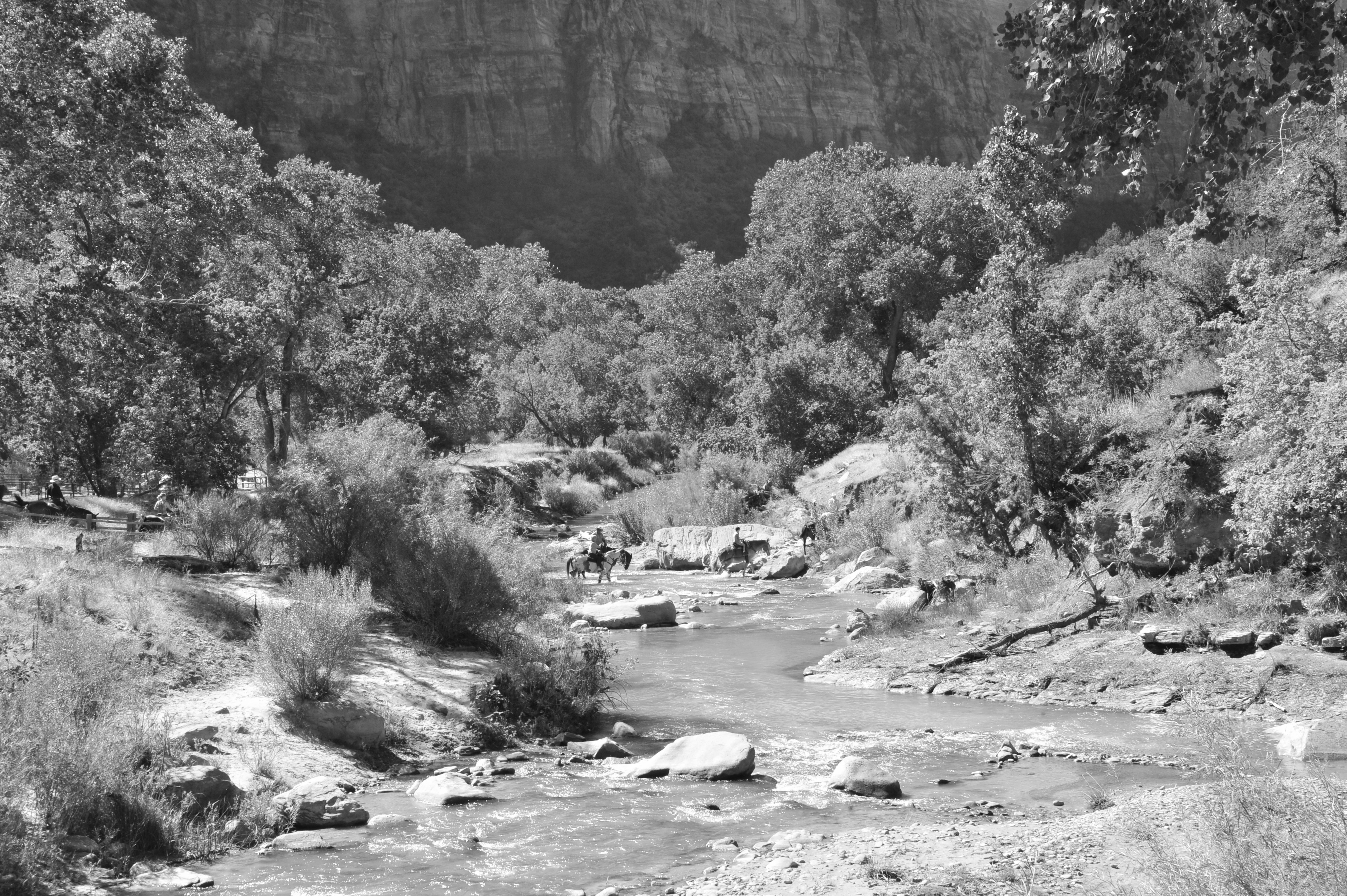 Arizona BUY THIS PRINT