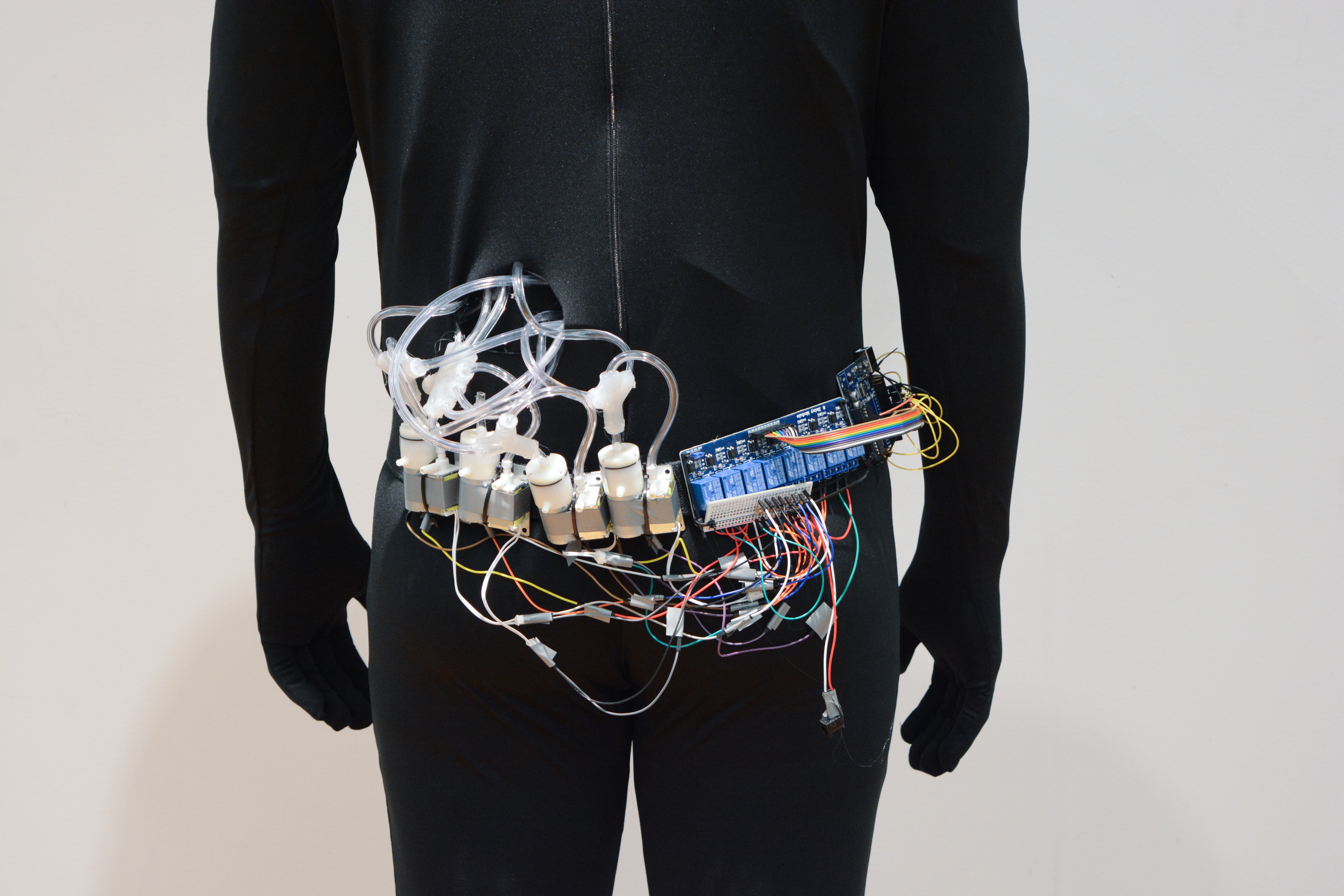 Electronics attached along the back