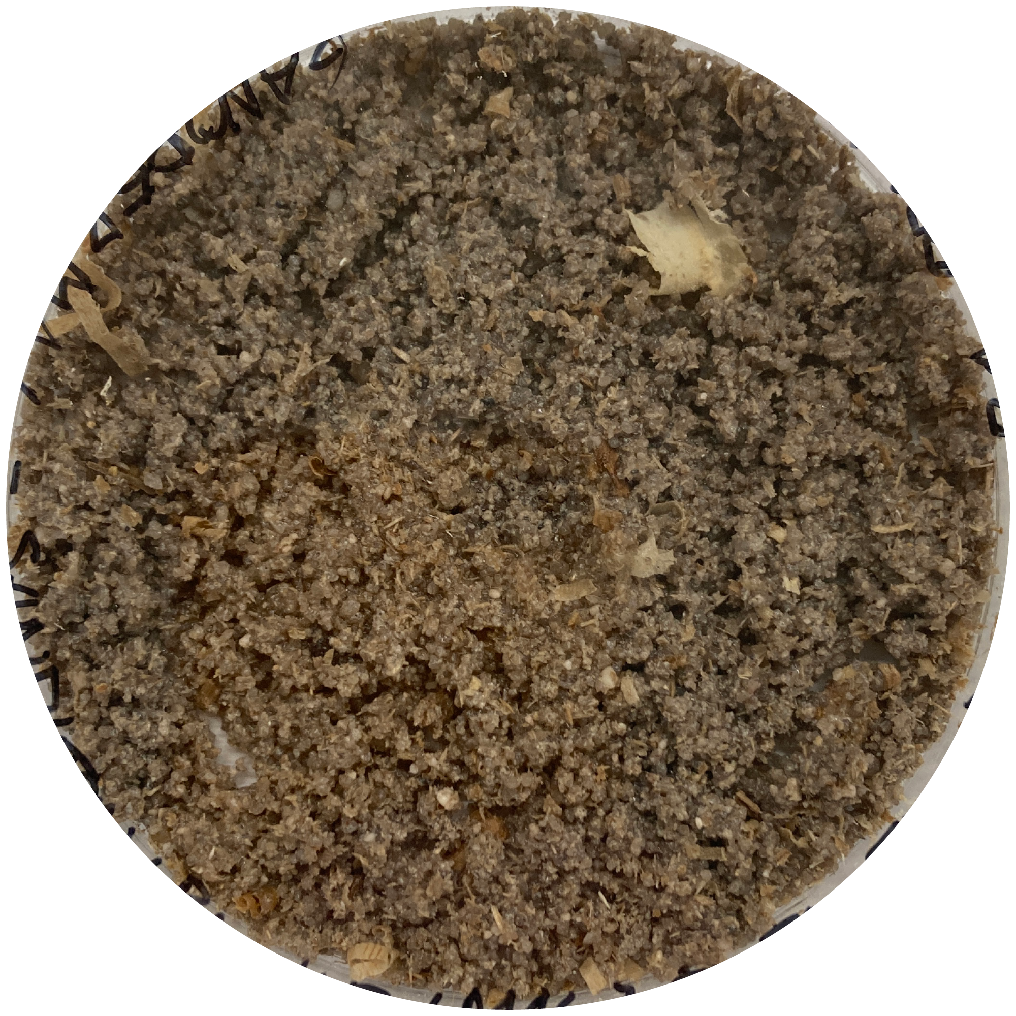 Kultur A, Agar/Sand/Ton/Holz-Substrat Malzextrakt 2ML