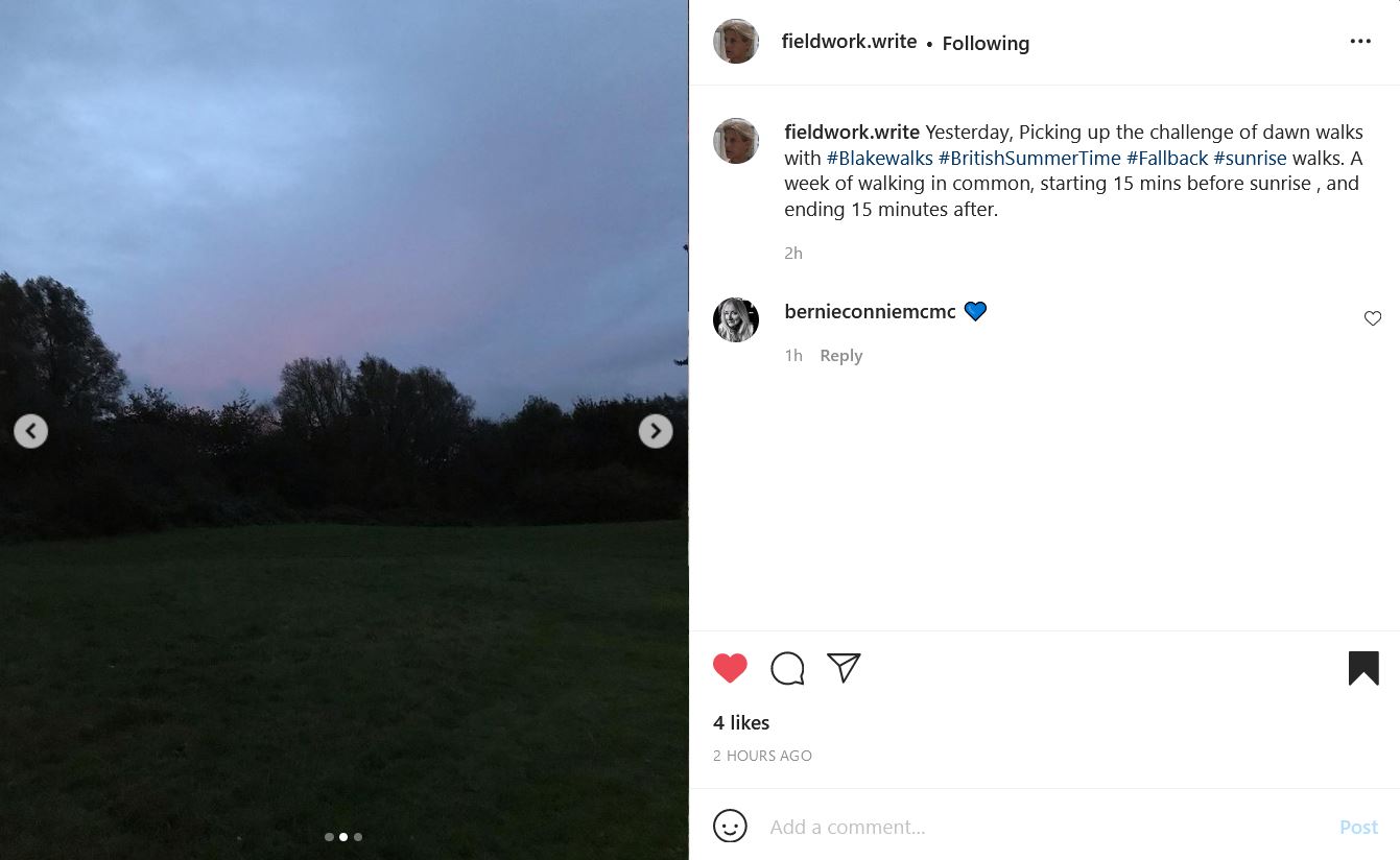 An Instagram post by @fieldwork_write showing a green field with a shadowed skyline of trees and a pink and blue sky. The text reads "Yesterday, Picking up the challenge of dawn walks with #Blakewalks #BritishSummerTime #Fallback #sunrise walks. A week of walking in common, starting 15 mins before sunrise , and ending 15 minutes after."