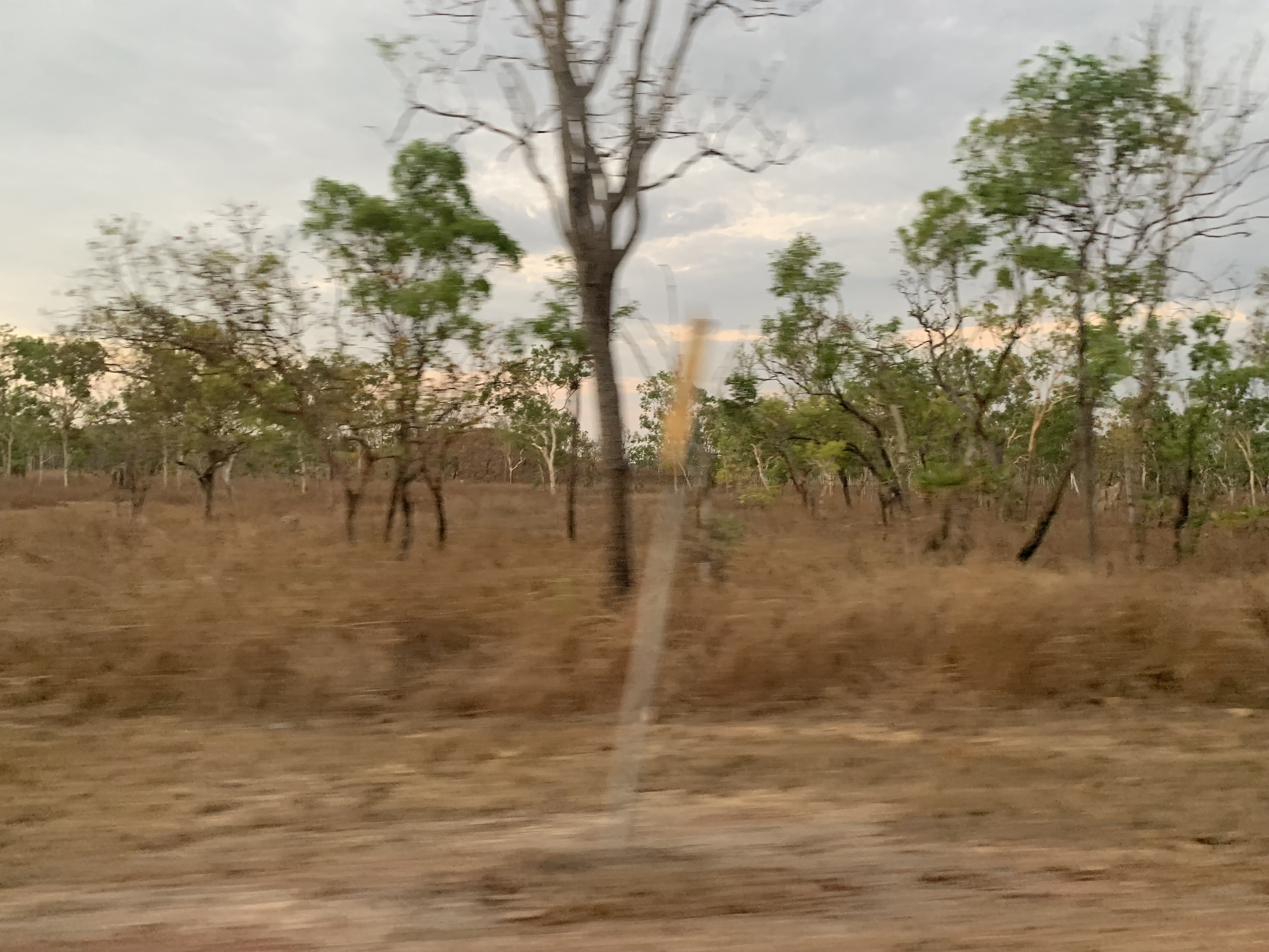 Ngan’gikurungurr Country, Peppimenarti, Northern Territory, Australia. Sept 2019. Photo Miriam La Rosa.