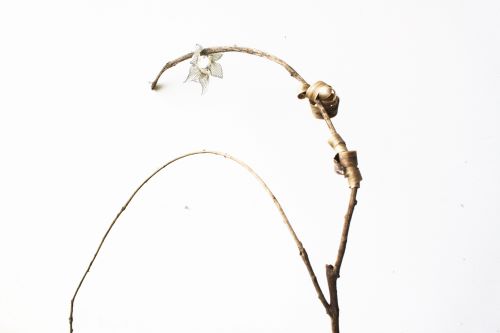 Série Par l’oreille d’une goutte de pluie, écoute encore, 2018[Série Par l’oreille d’une goutte de pluie, écoute encore]Photographie sur papier fine art 