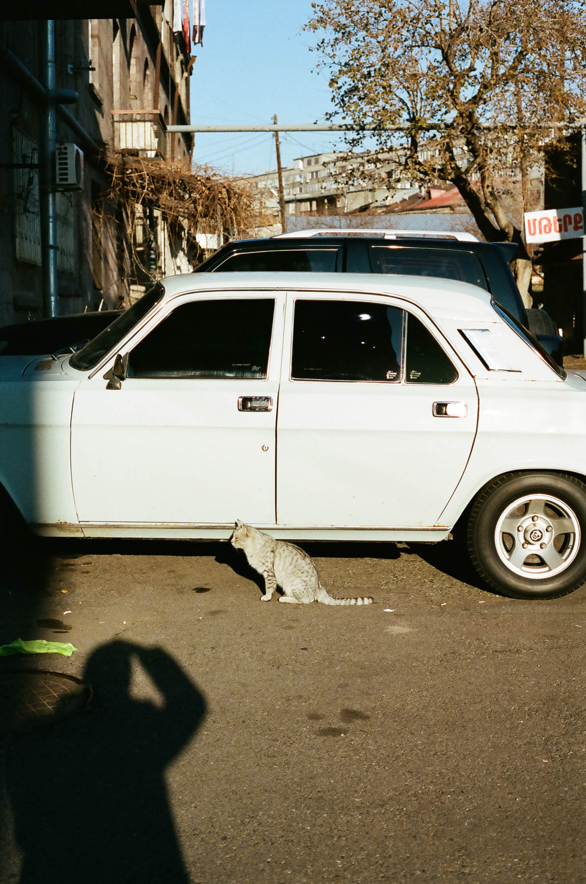 ‘Sight Walks’, Yerevan, 2018